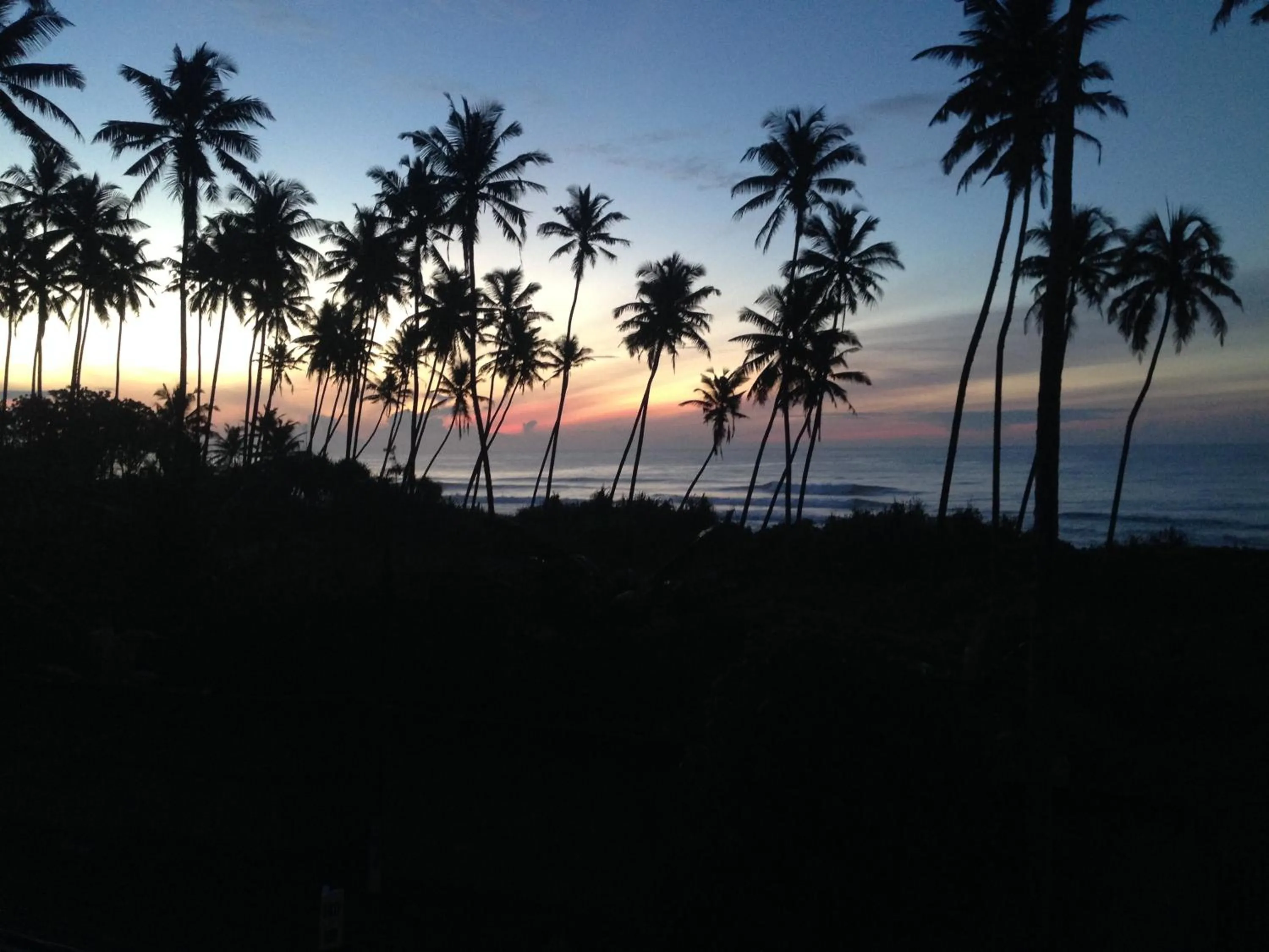View (from property/room) in Cocoplant Surf Inn