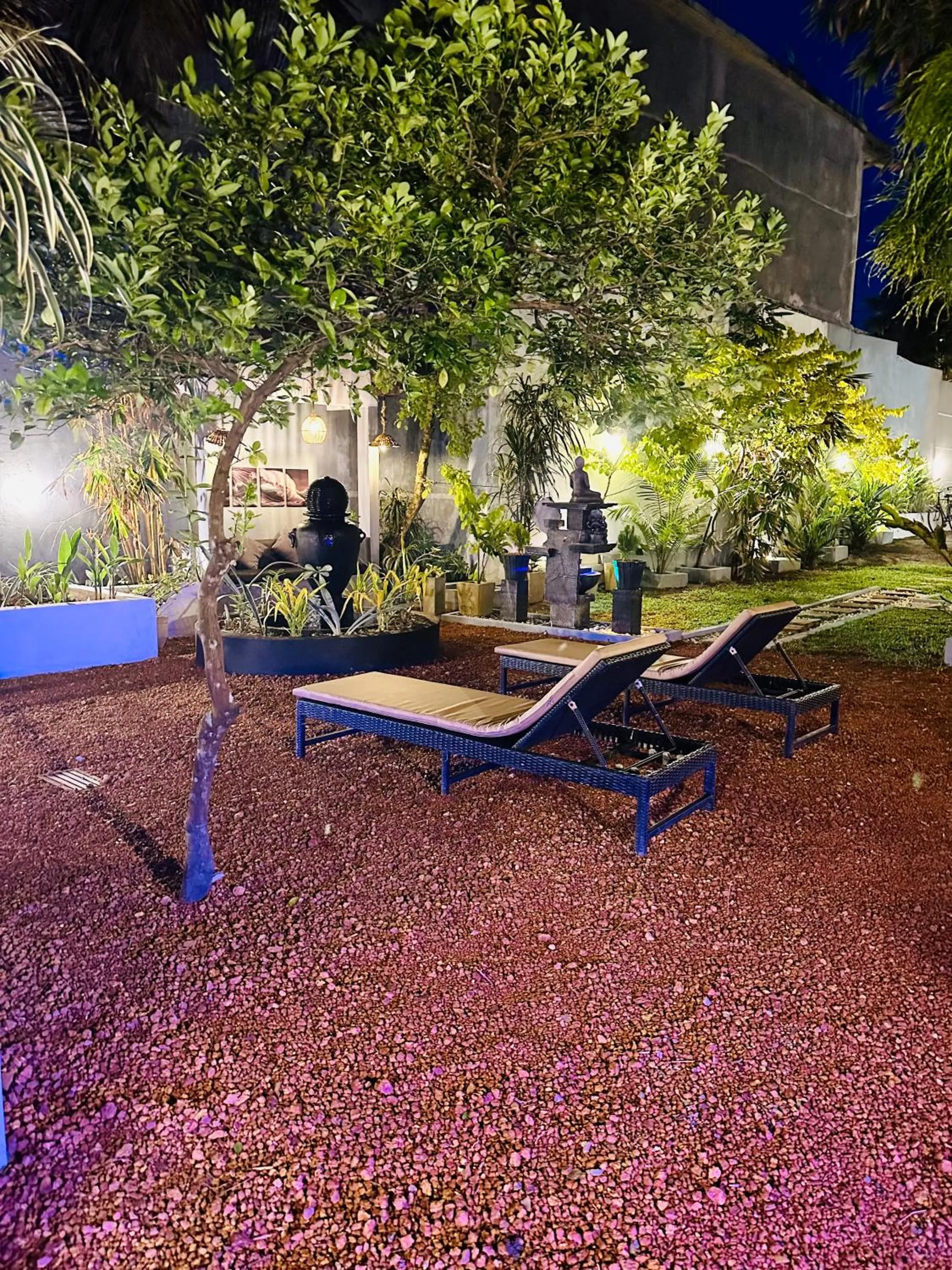 Night in Cocoplant Surf Inn