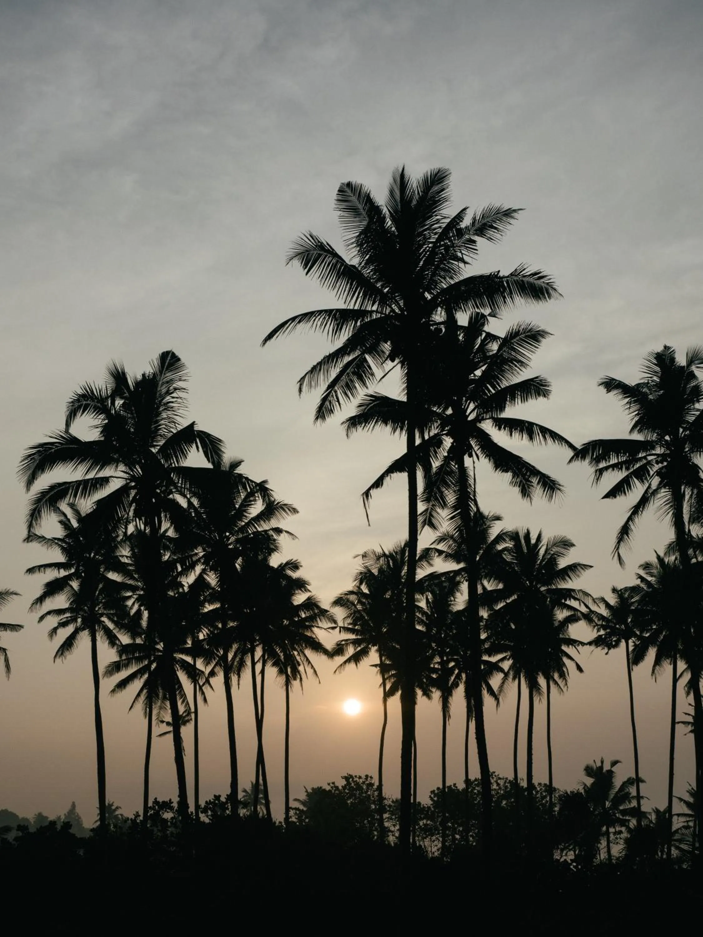 View (from property/room) in Cocoplant Surf Inn