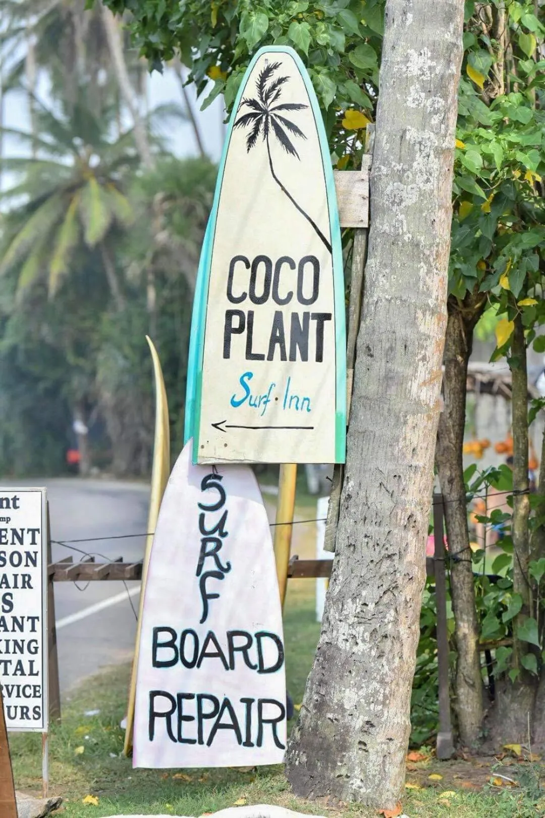 Day in Cocoplant Surf Inn