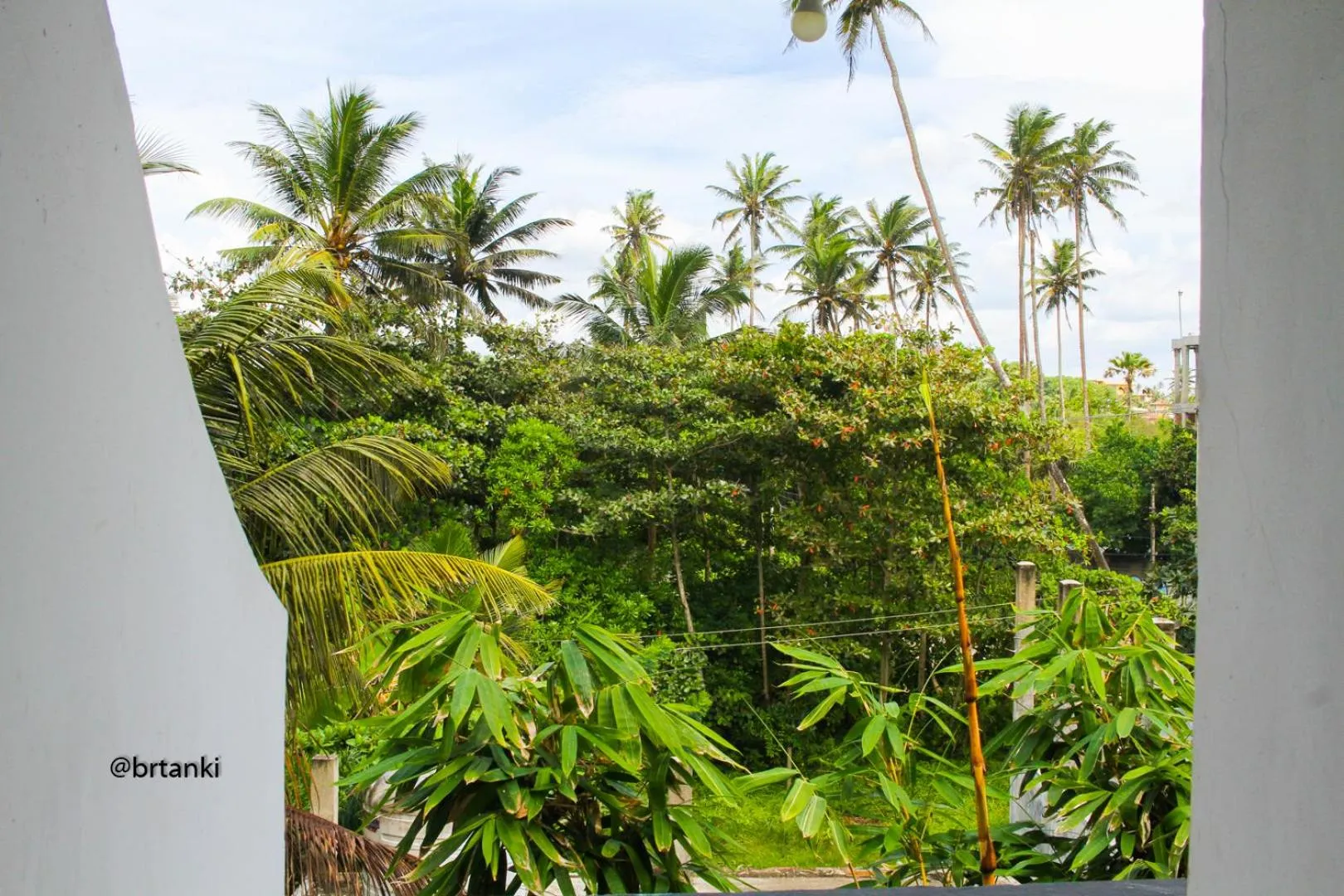 View (from property/room) in Cocoplant Surf Inn