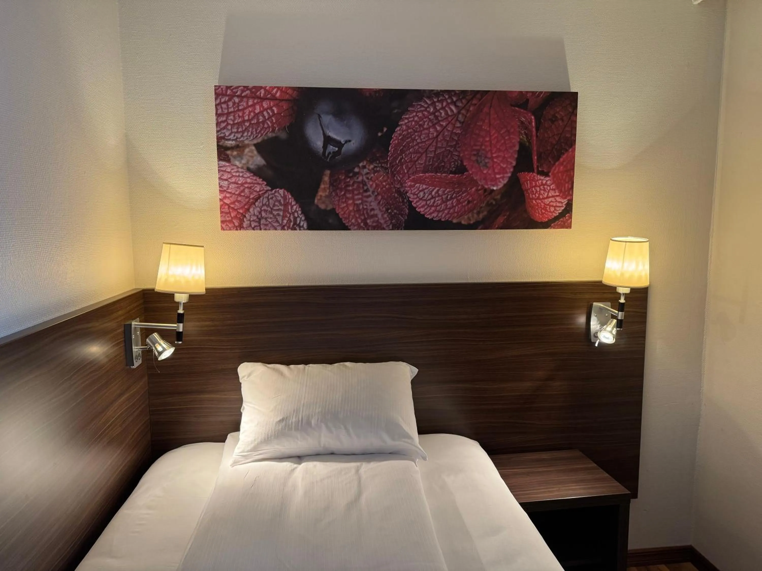 Bed in Park Hotel Vossevangen