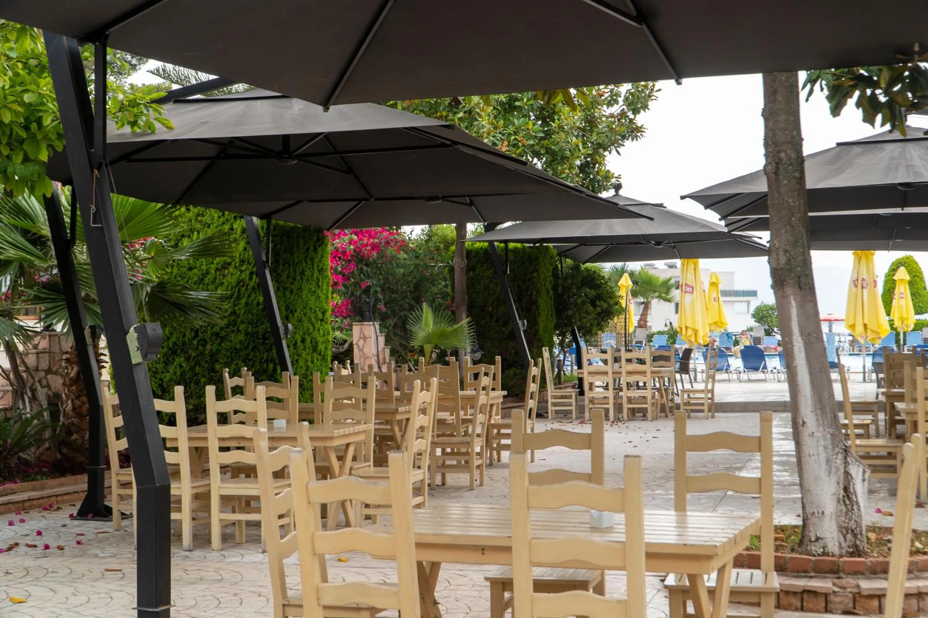 Lounge or bar in Hotel Mediterrane