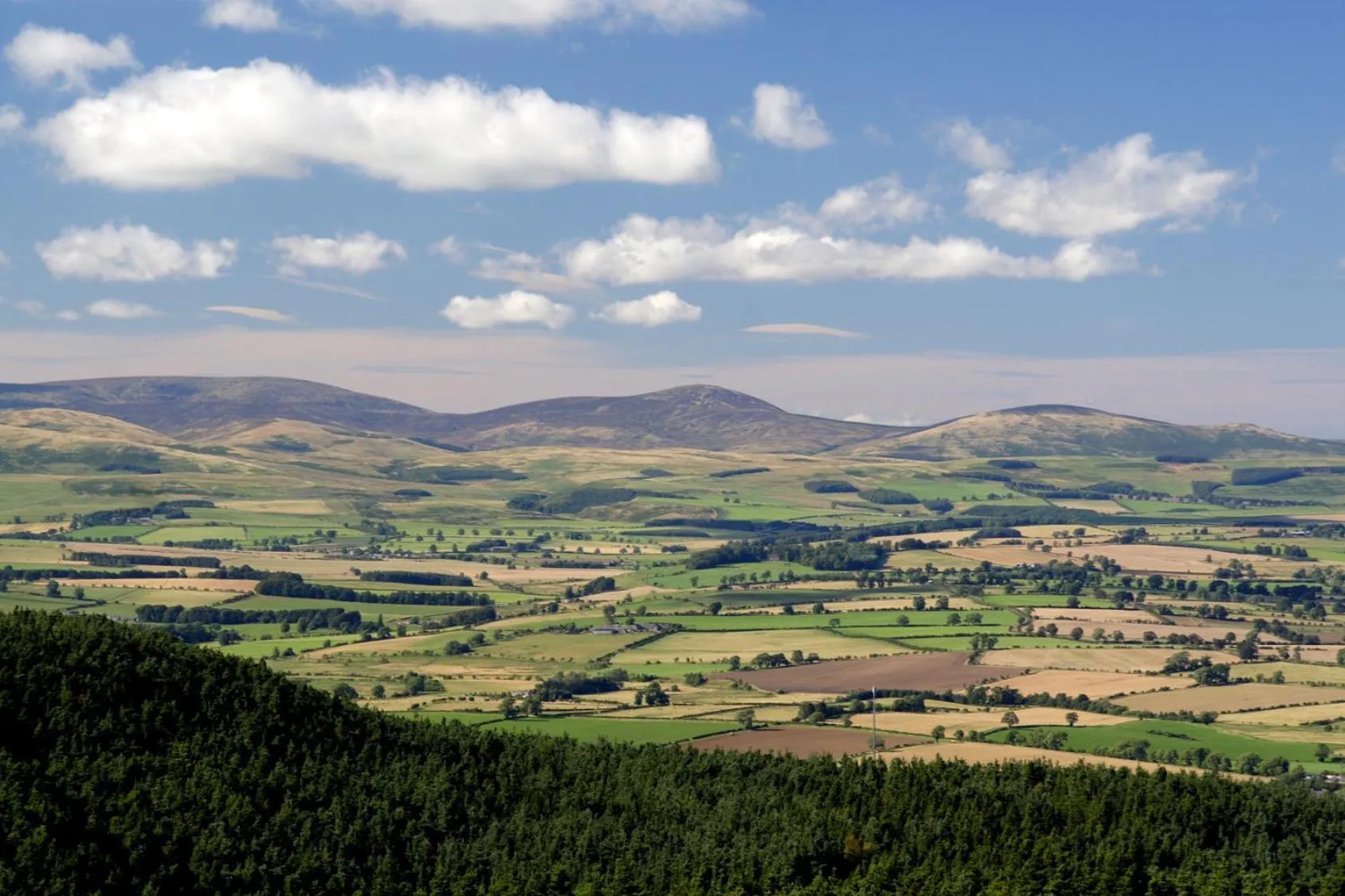 Nearby landmark in Throphill Grange
