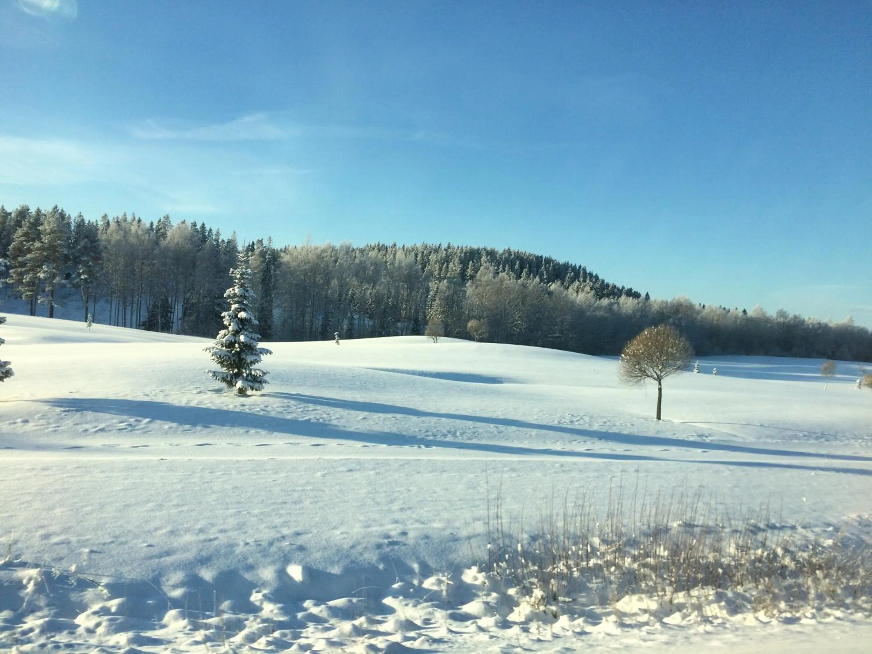 Day in Asikkalan Motelli