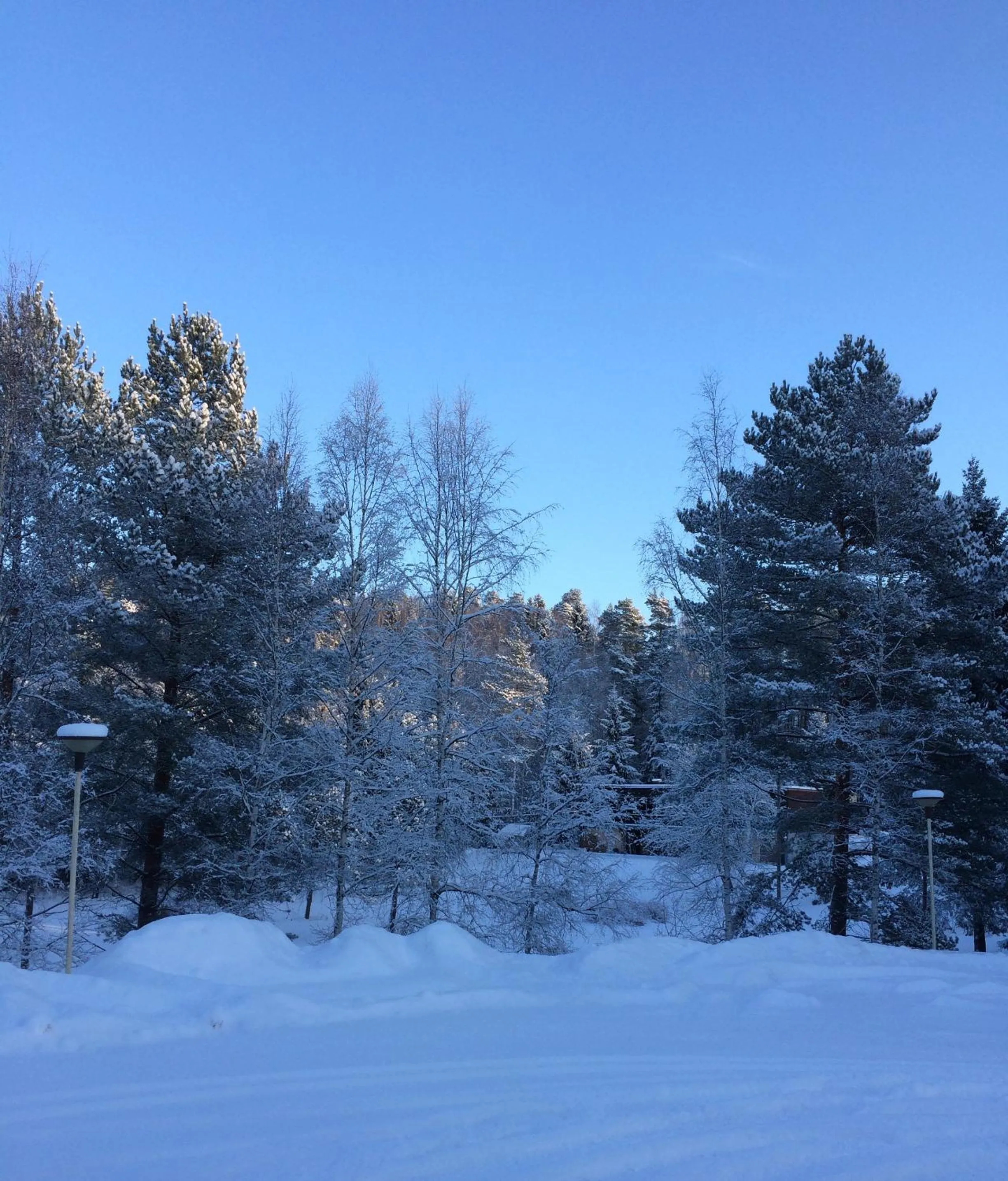 Winter in Asikkalan Motelli