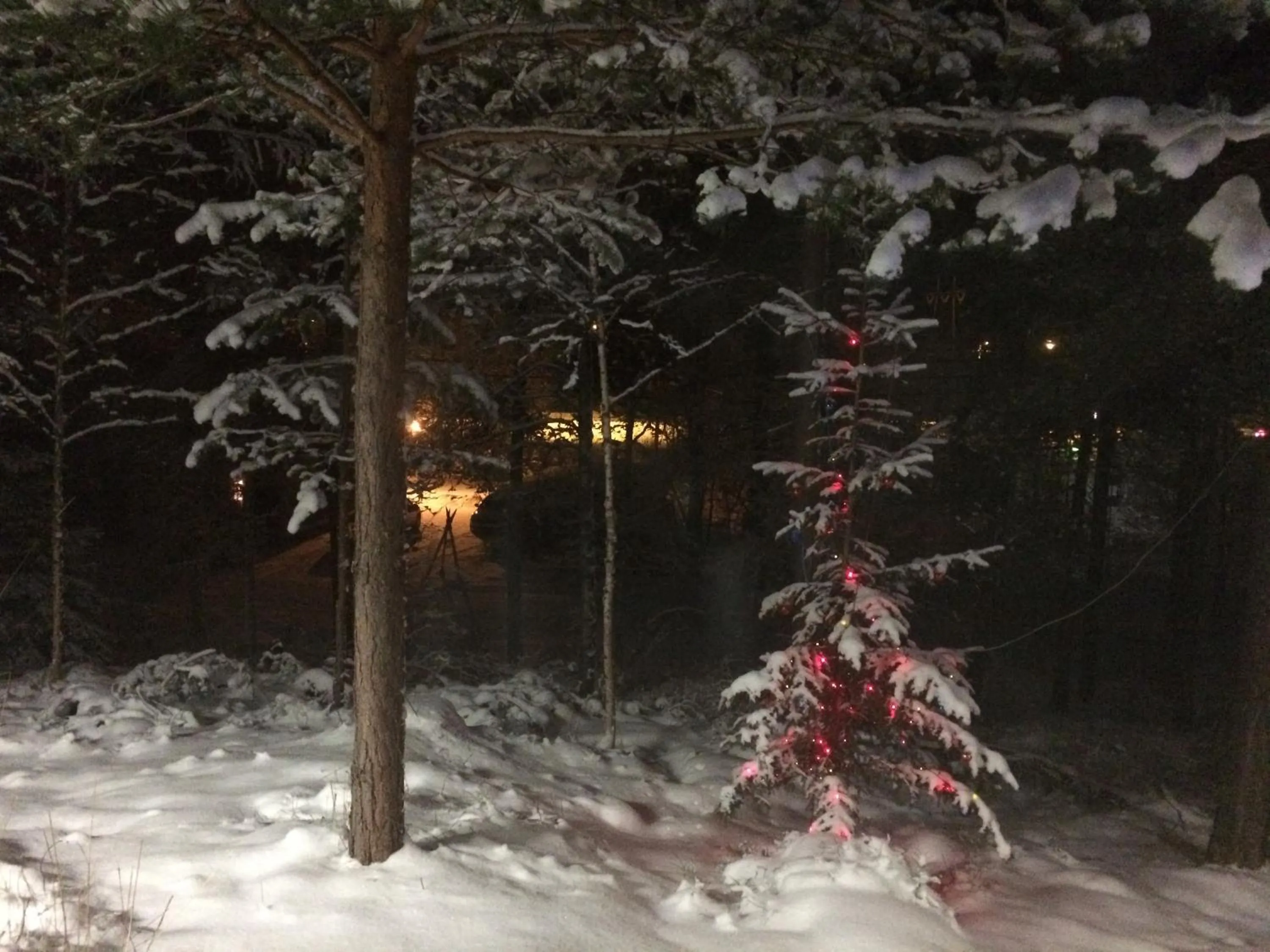 Night in Asikkalan Motelli