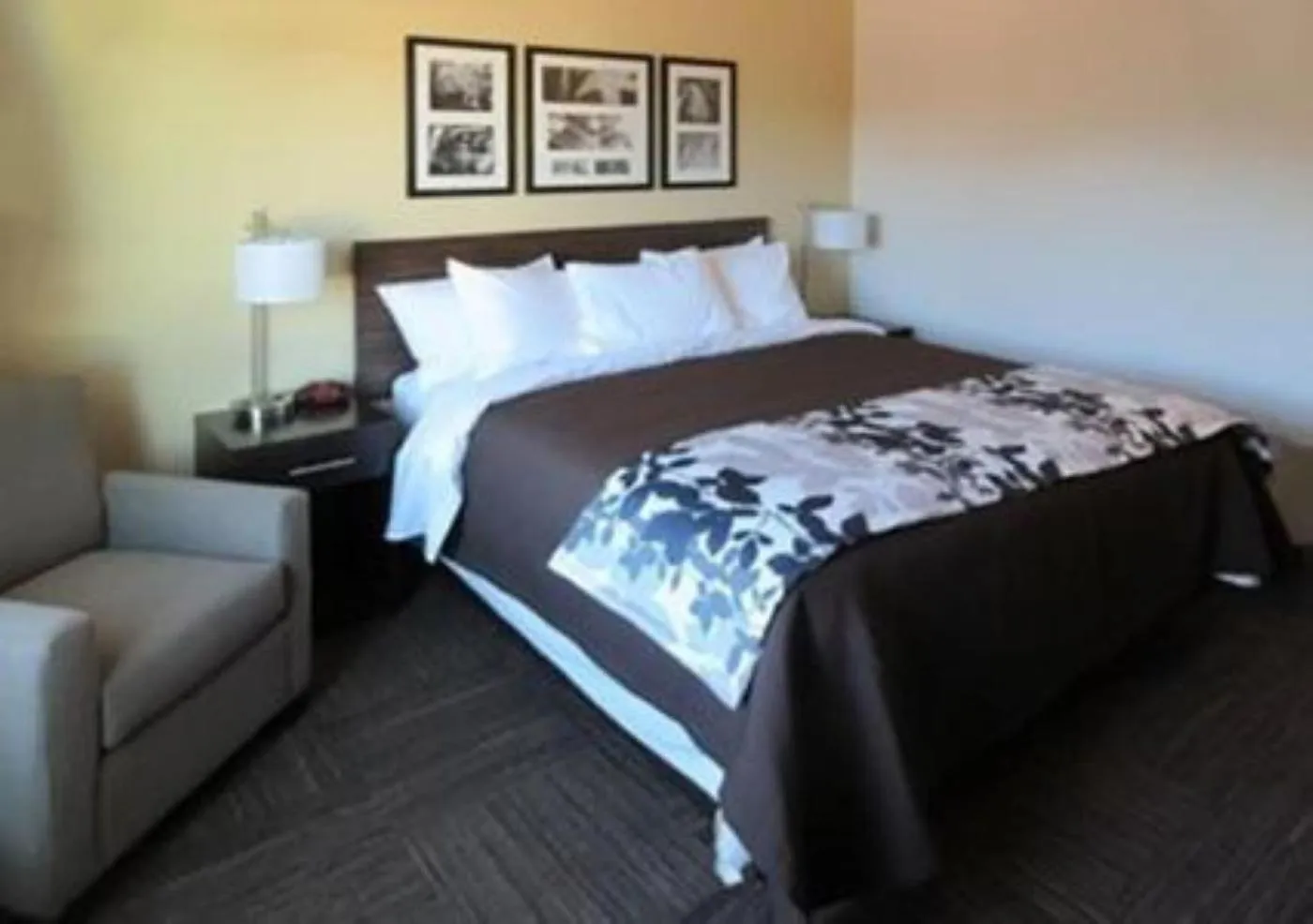 Bed in Wingate by Wyndham Jonesboro Hodge