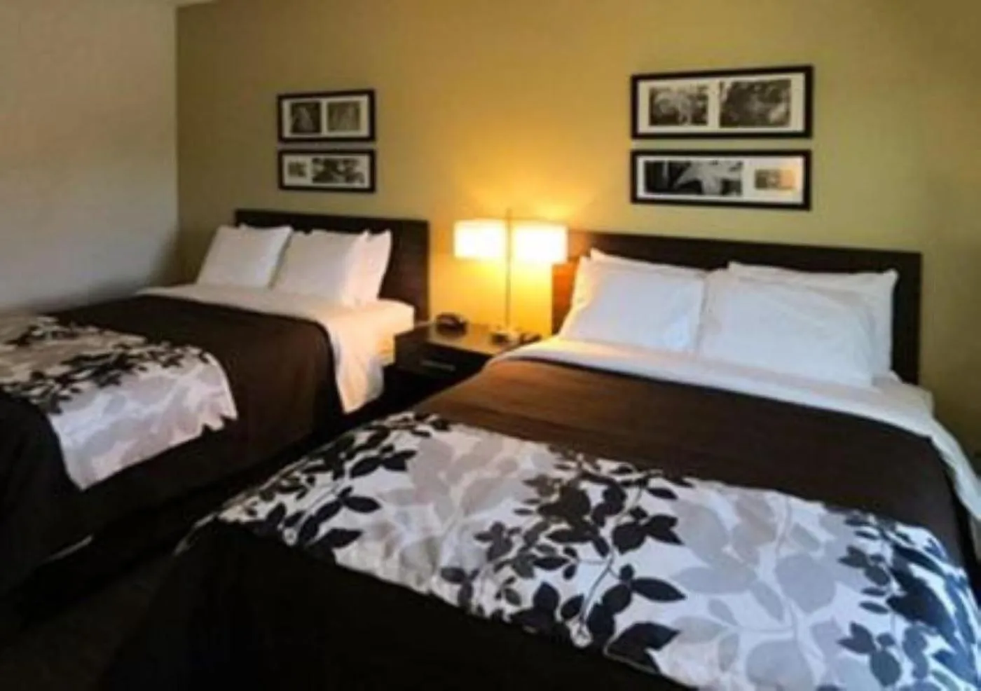 Bed in Wingate by Wyndham Jonesboro Hodge