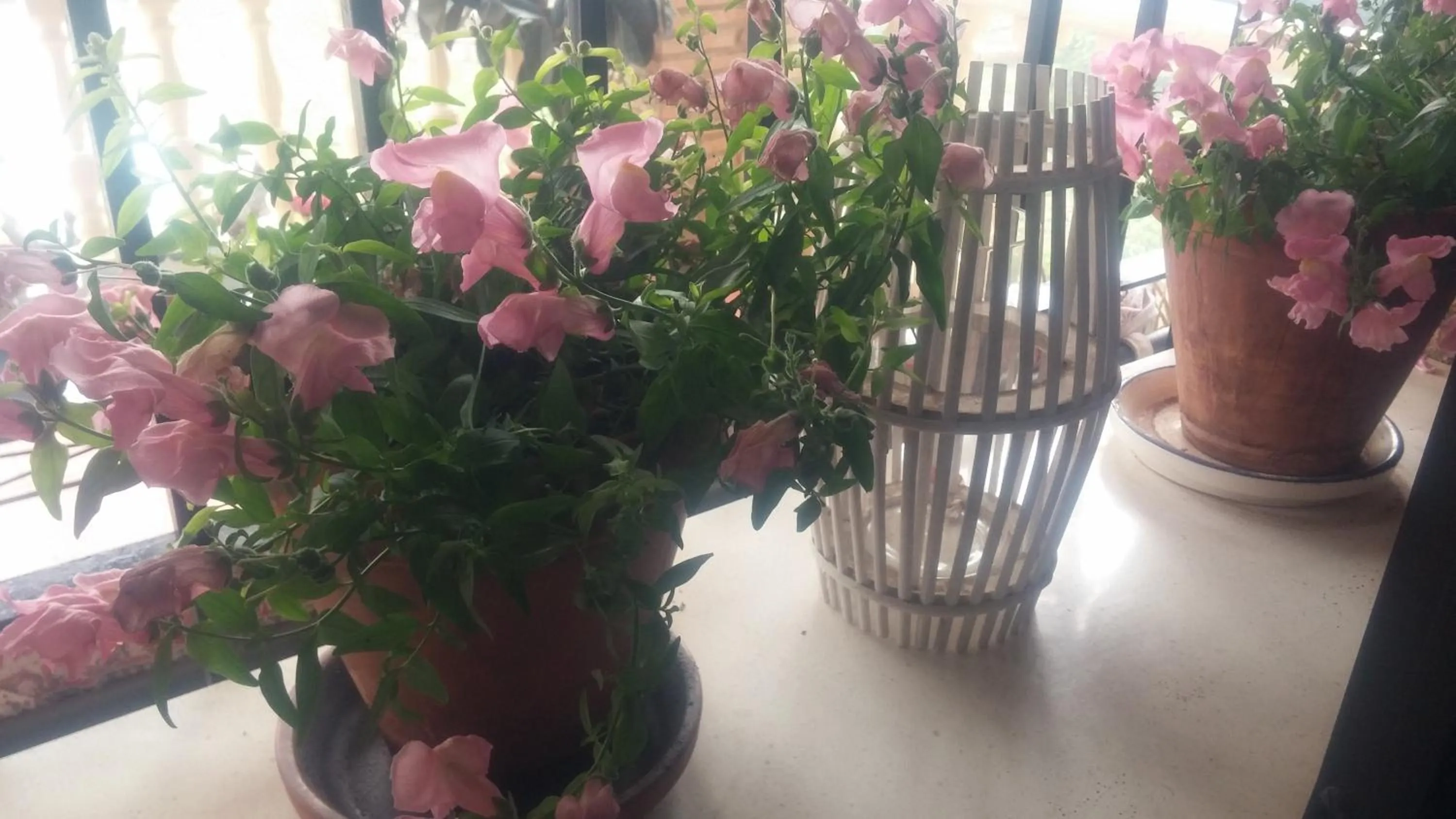 Spring in El Manantial B&B