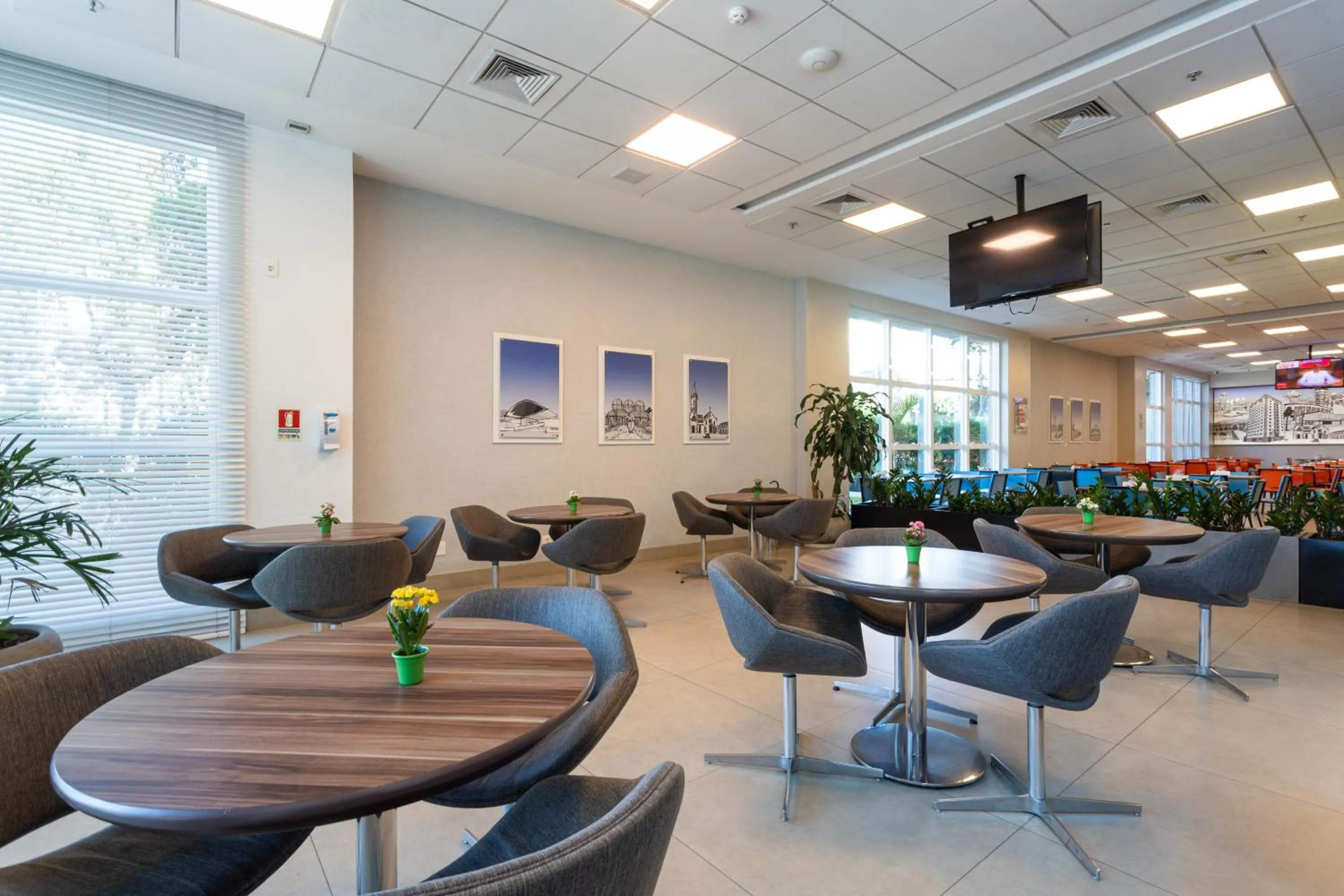 Area and facilities in Go Inn Hotel Curitiba