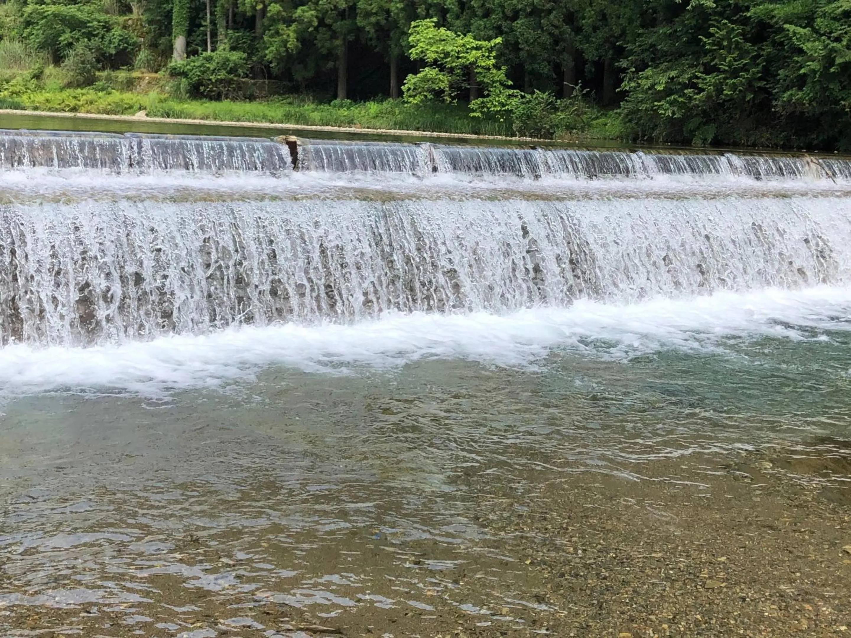 Natural landscape in Ryokan Kigusuriya