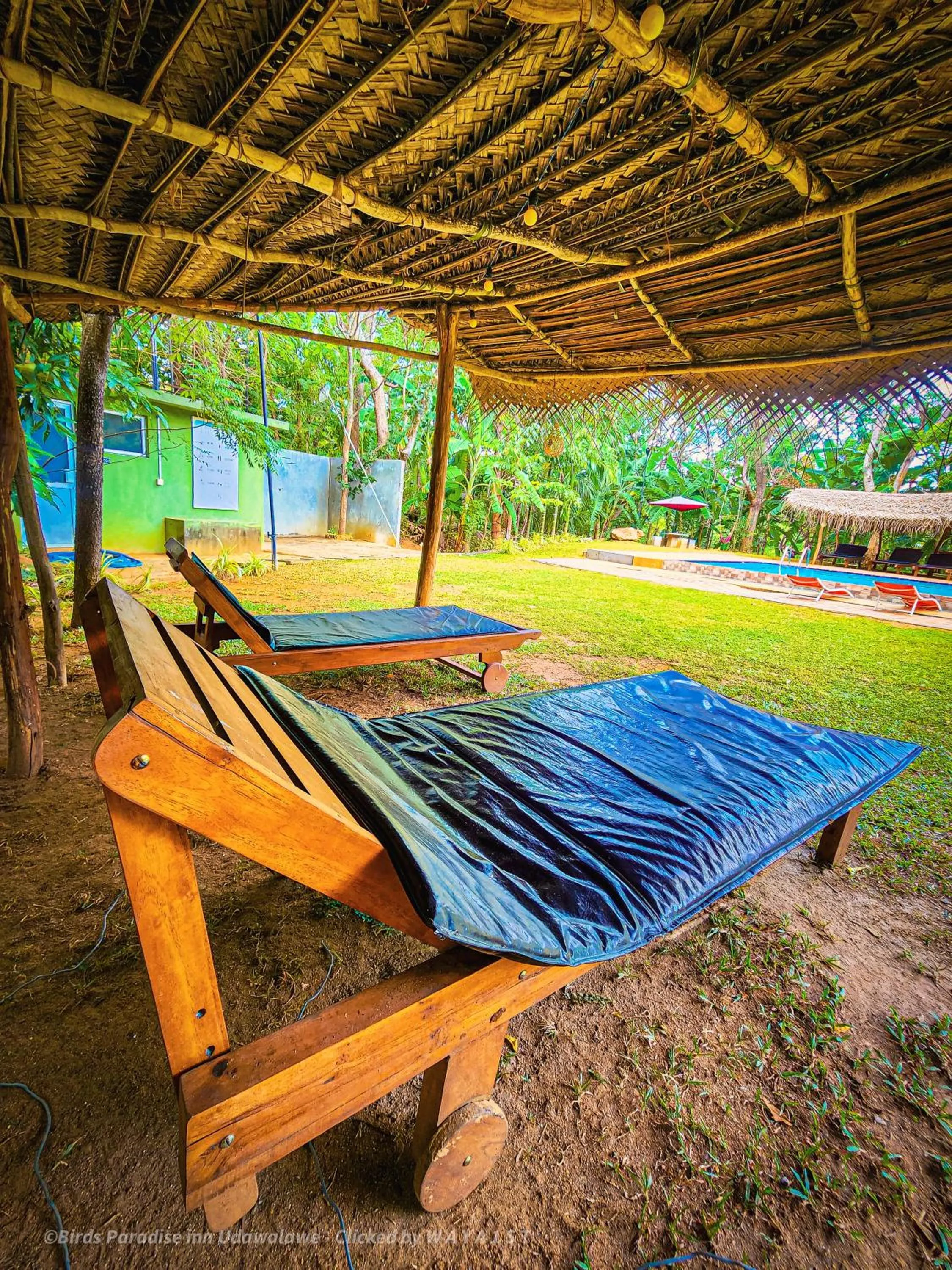 Garden in Birds Paradise Inn