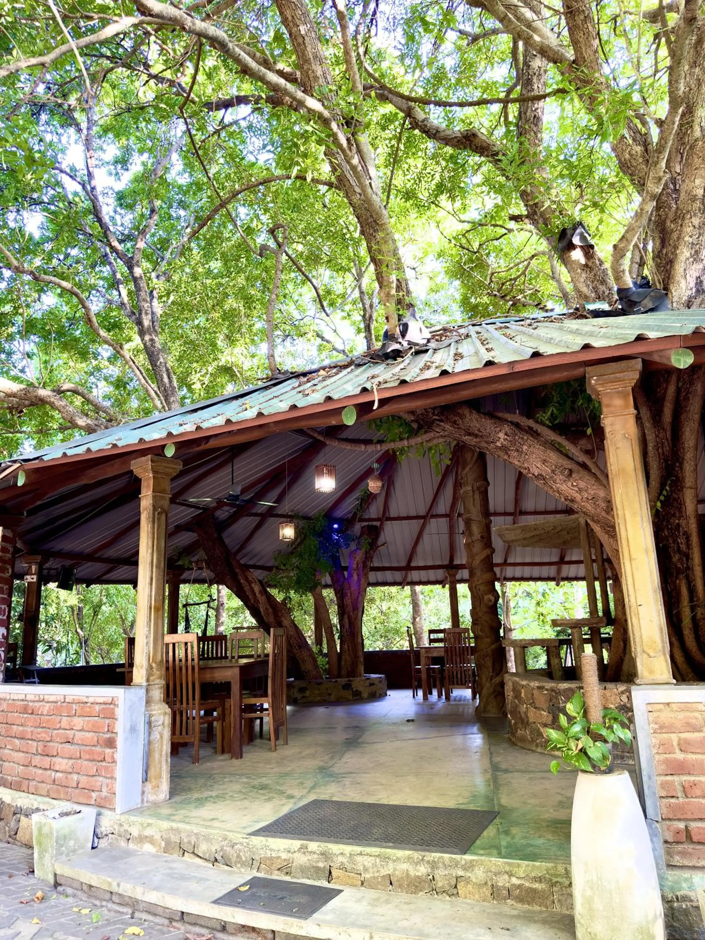 Day in Birds Paradise Inn