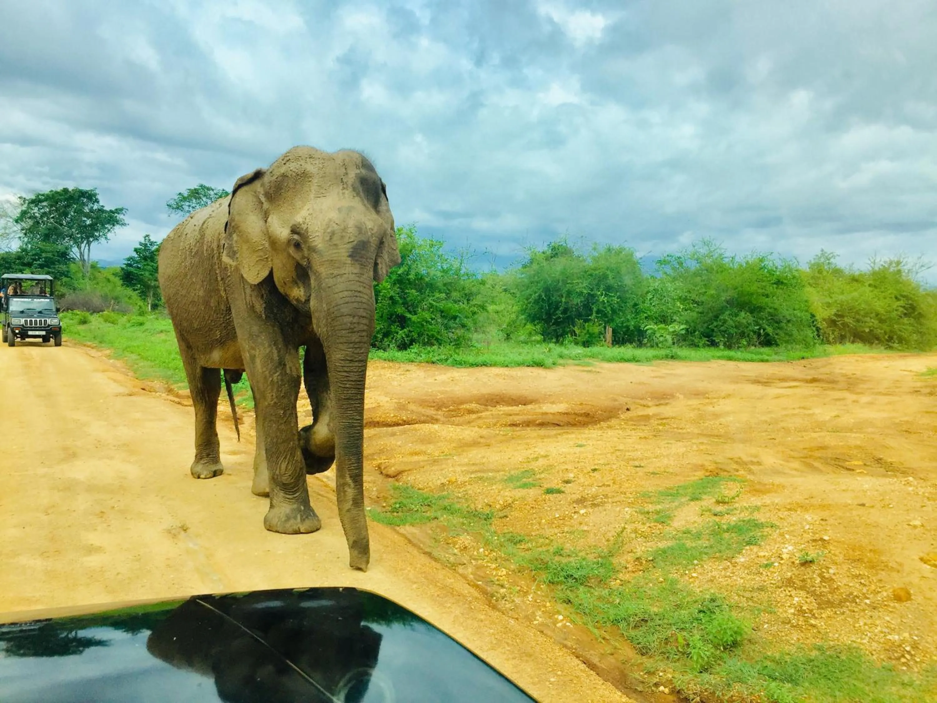 Activities in Birds Paradise Inn