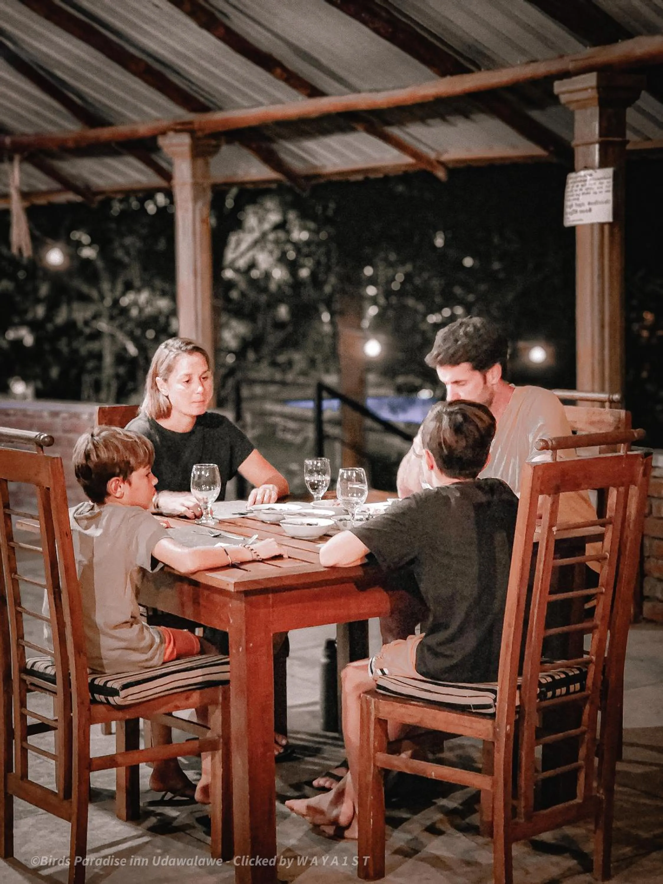 Restaurant/places to eat in Birds Paradise Inn