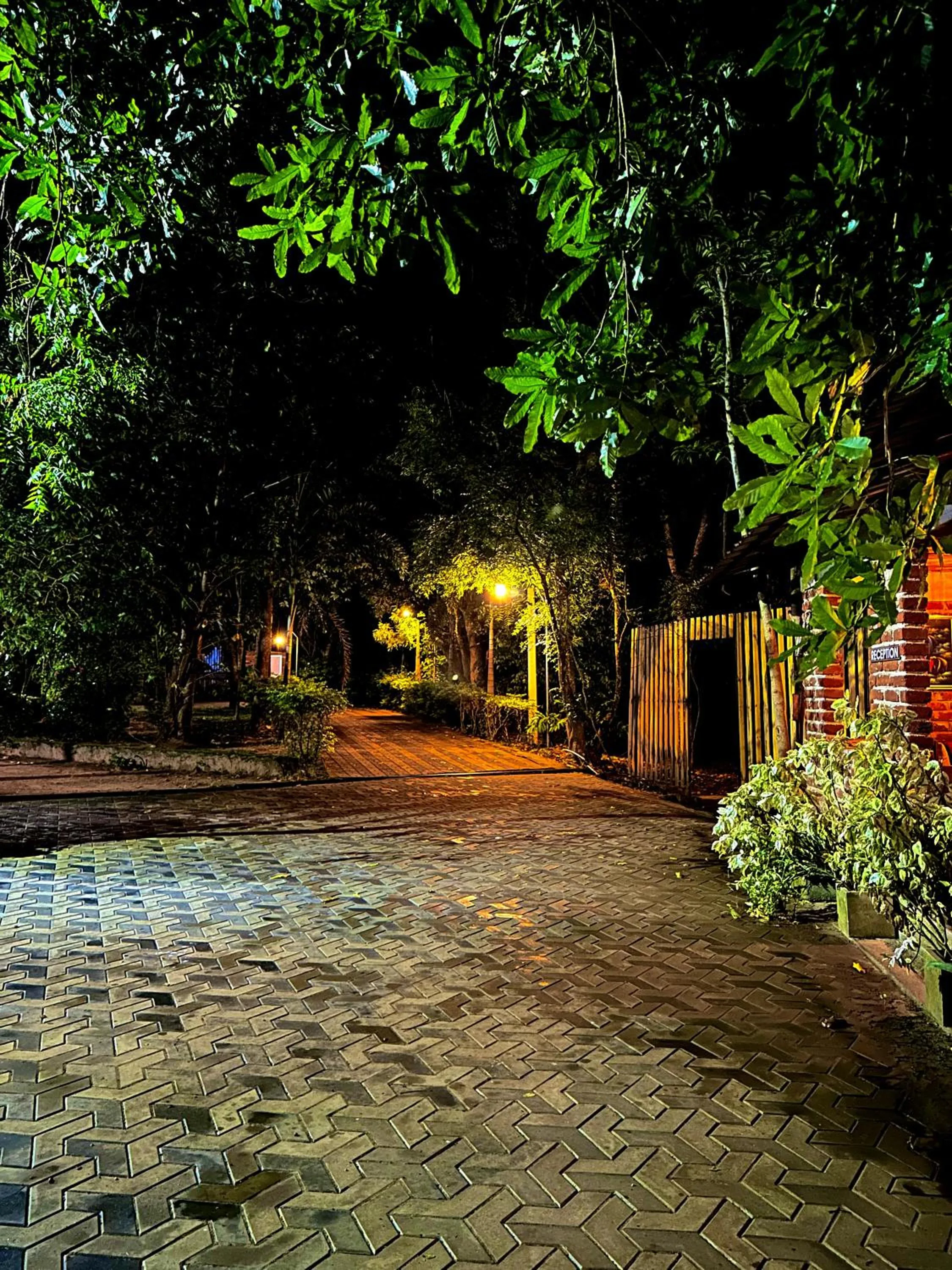 Garden in Birds Paradise Inn