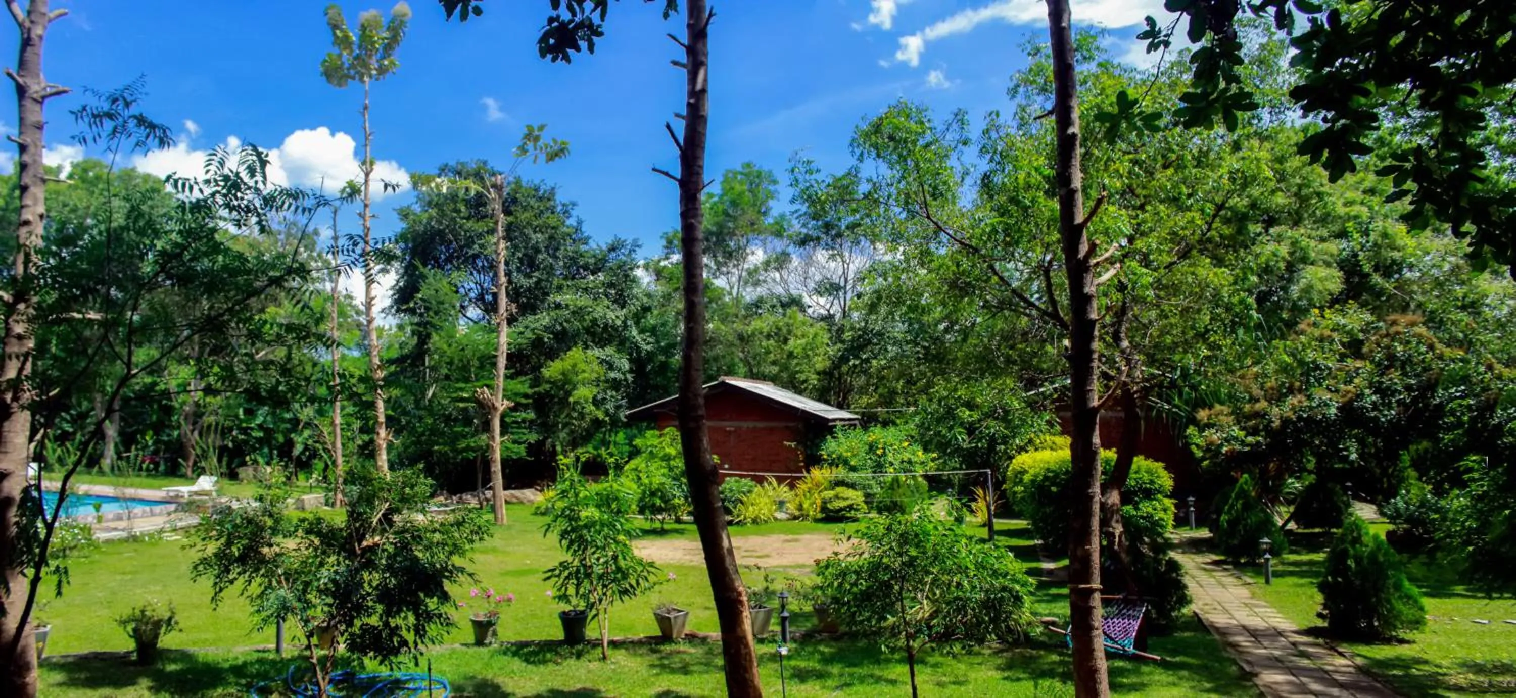 Garden in Birds Paradise Inn