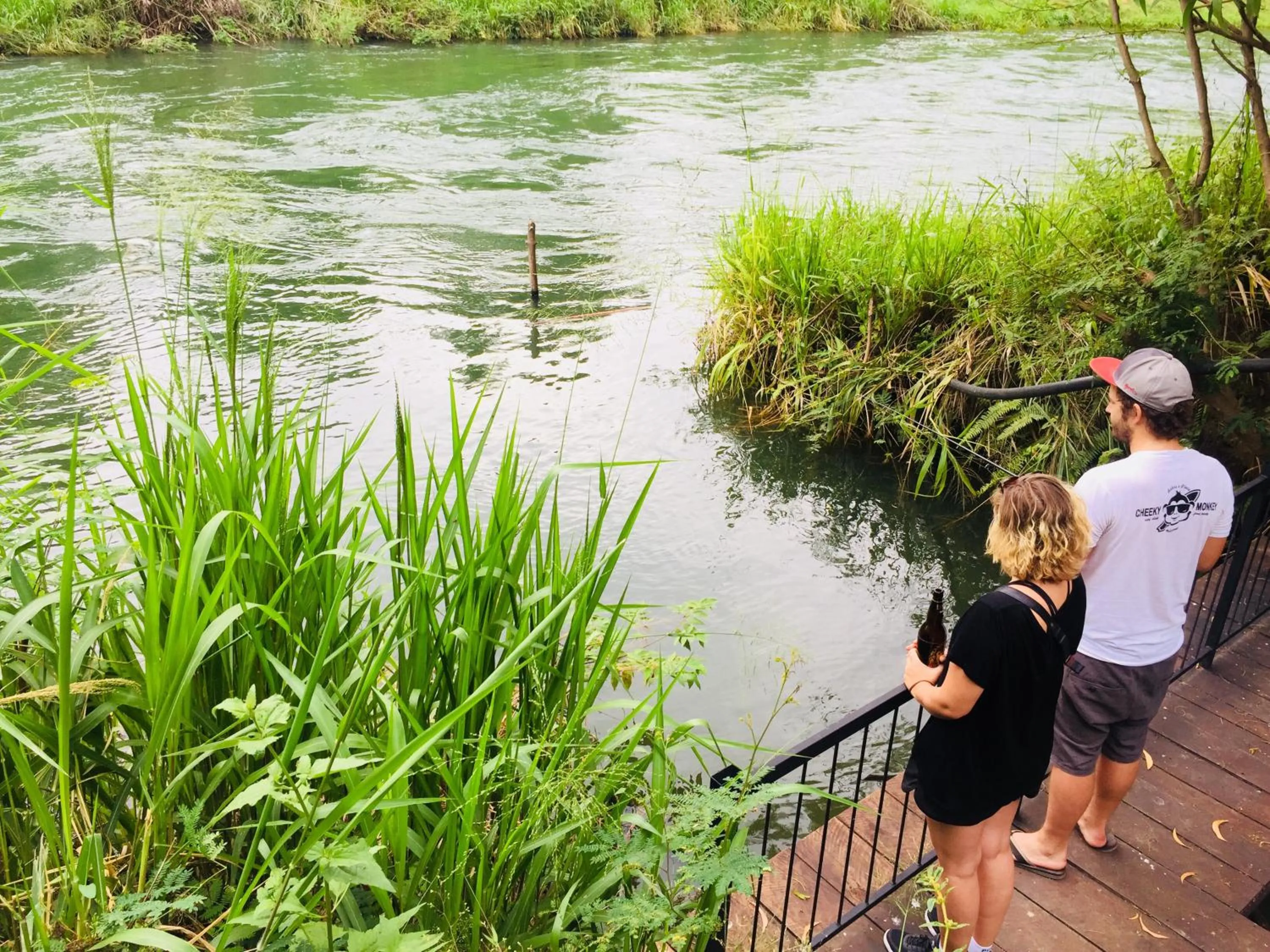 Fishing in Birds Paradise Inn