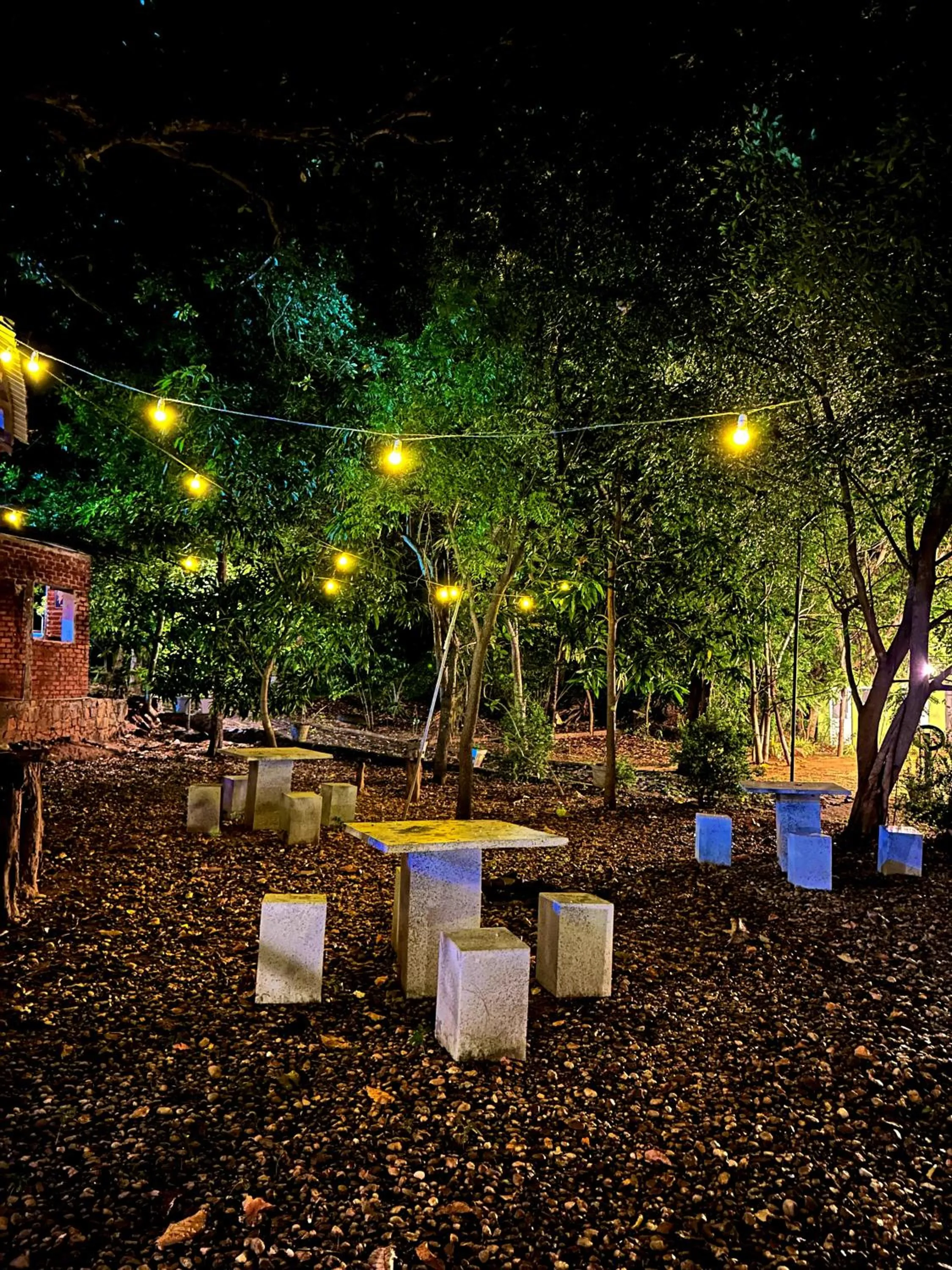 Garden in Birds Paradise Inn