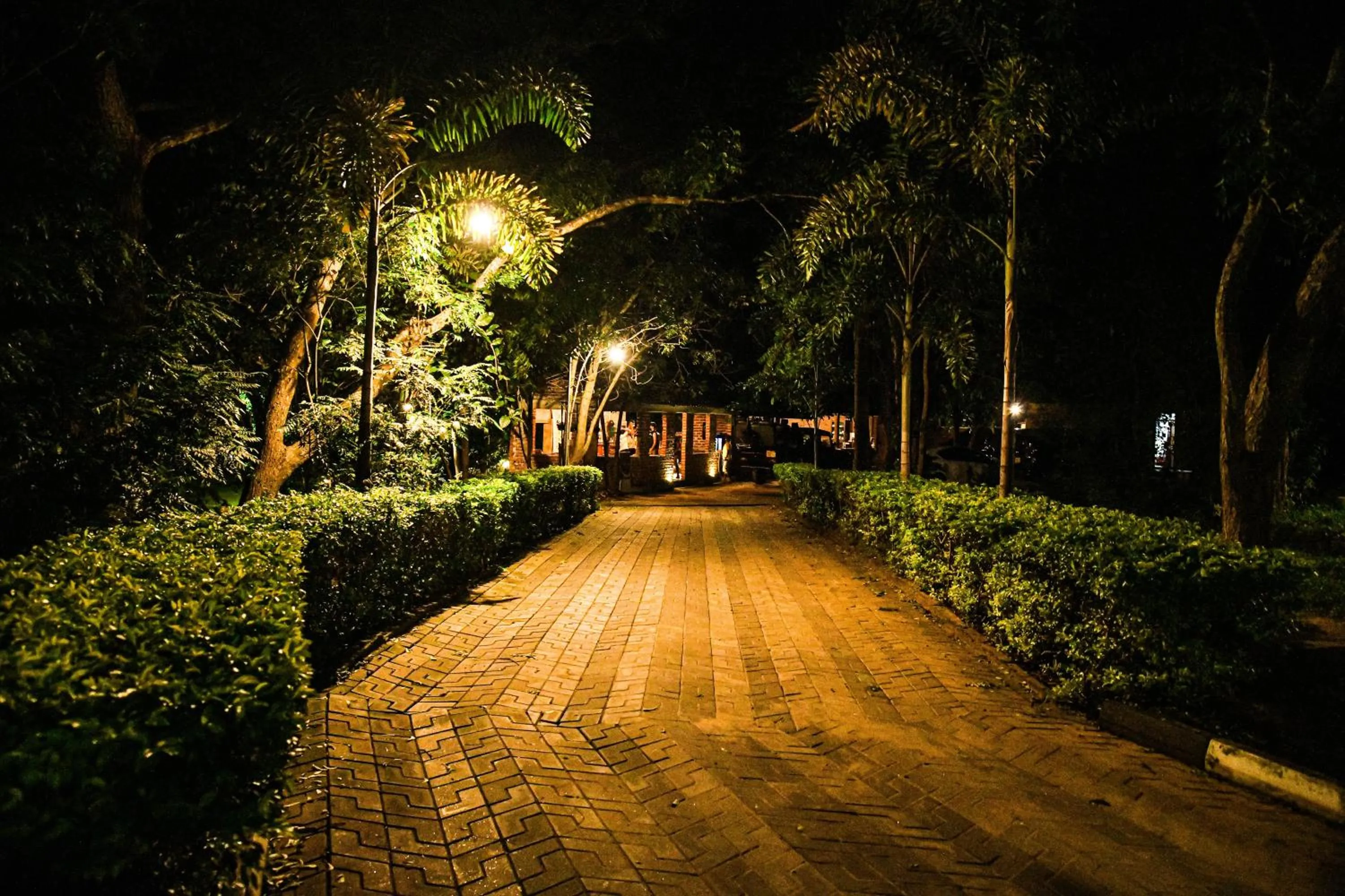 Garden in Birds Paradise Inn