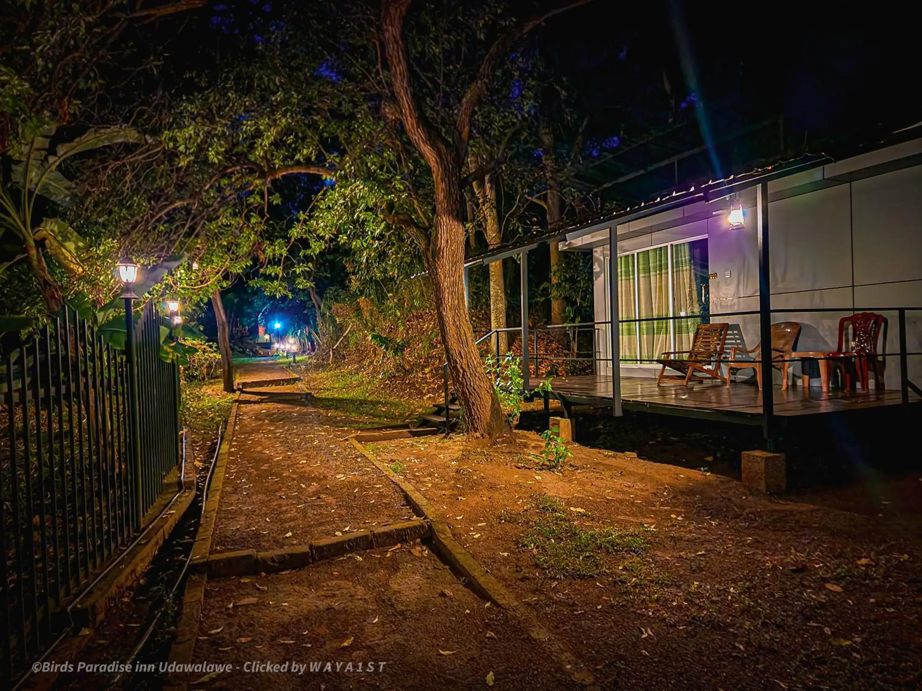 Double Room with Lake View in Birds Paradise Inn Double Room with Lake View in Birds Paradise Inn