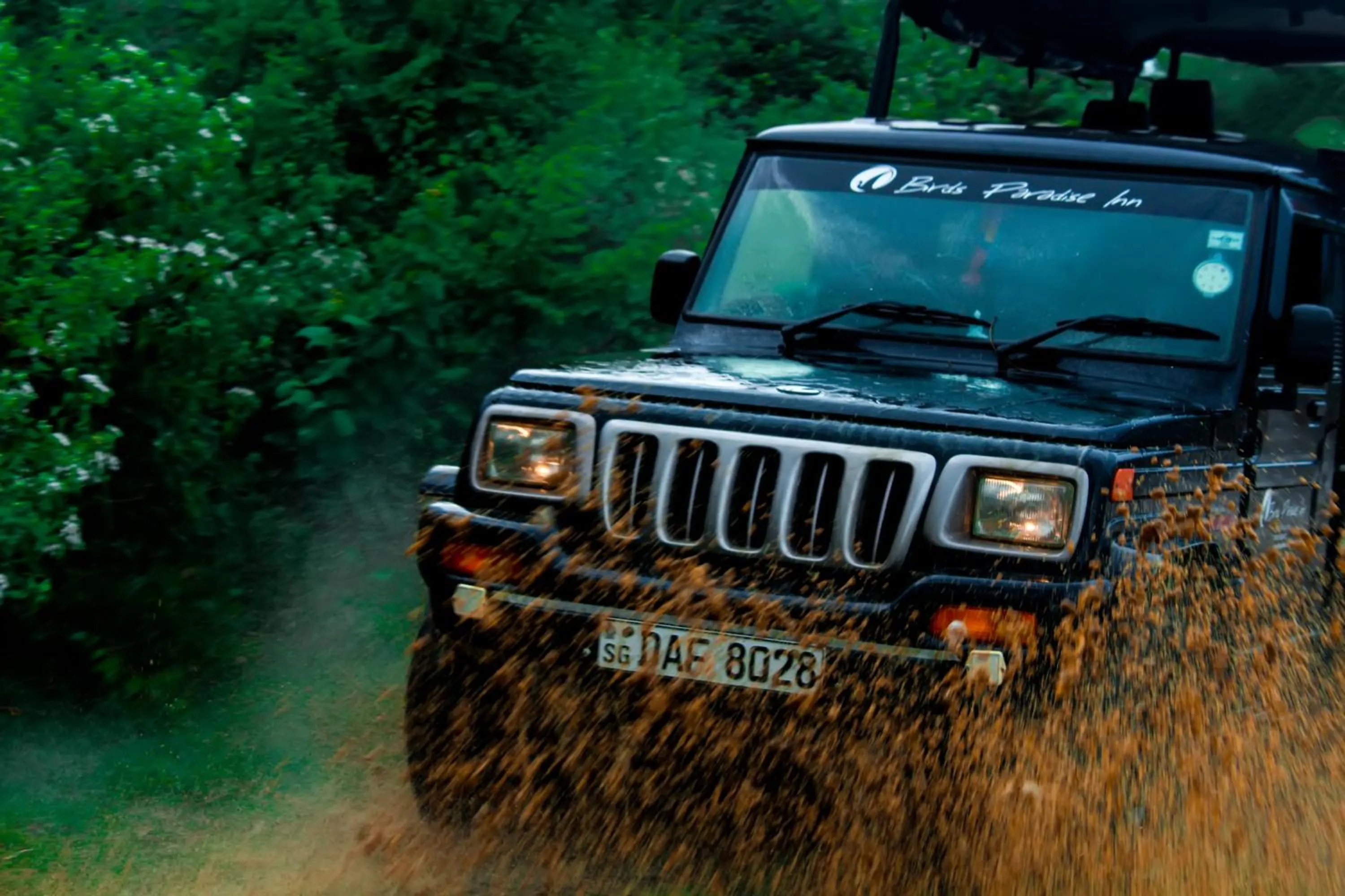 Entertainment in Birds Paradise Inn