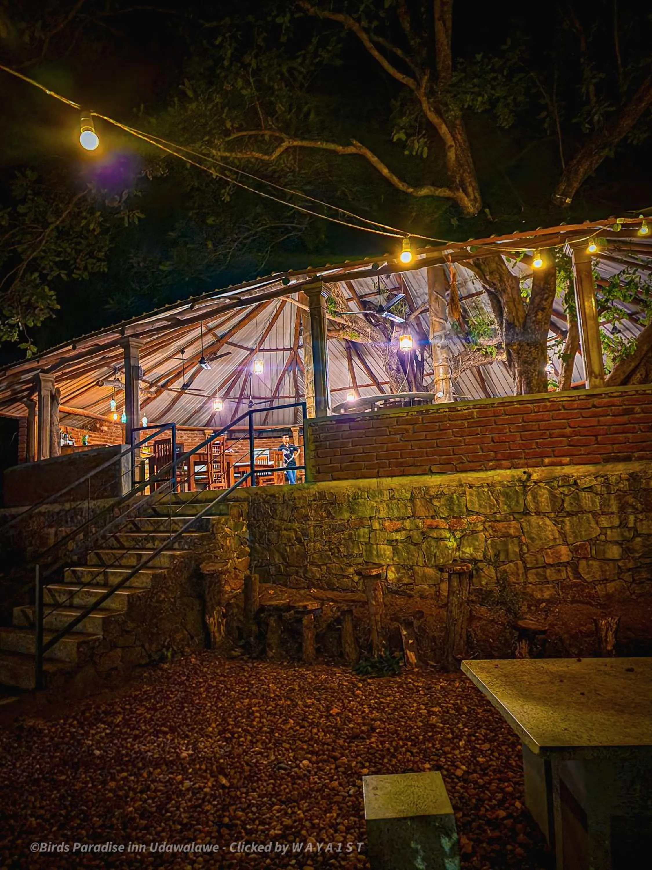 Restaurant/places to eat in Birds Paradise Inn