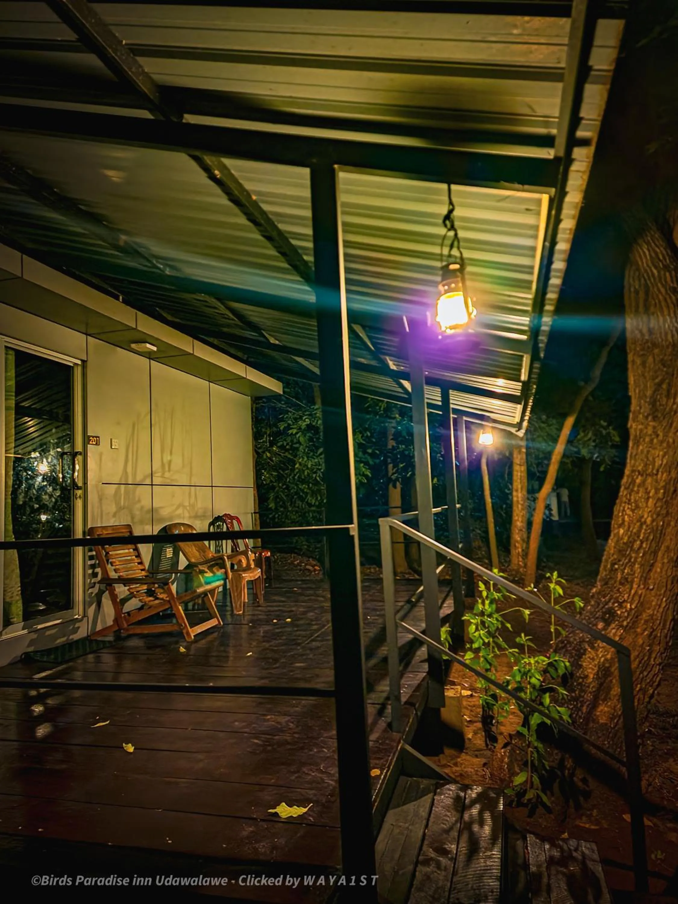 Patio in Birds Paradise Inn