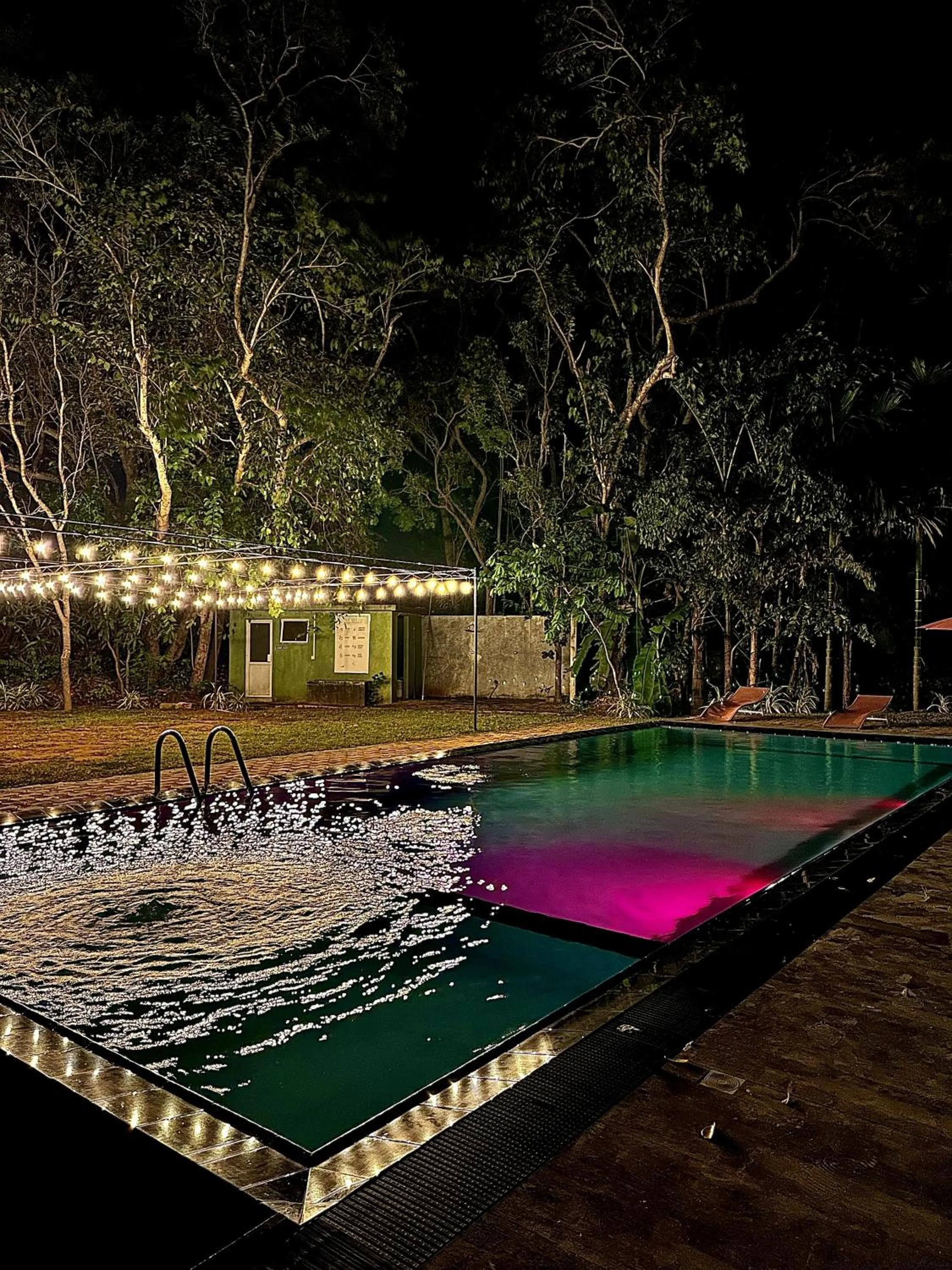 Swimming pool in Birds Paradise Inn