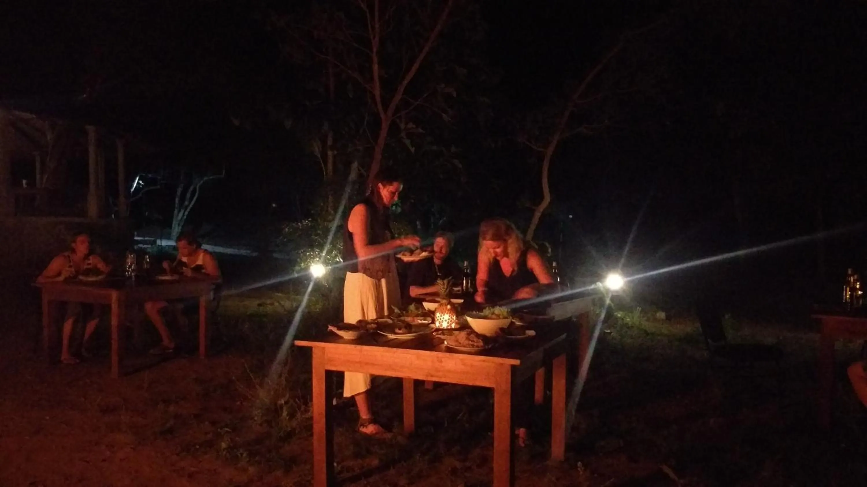 Restaurant/places to eat in Birds Paradise Inn