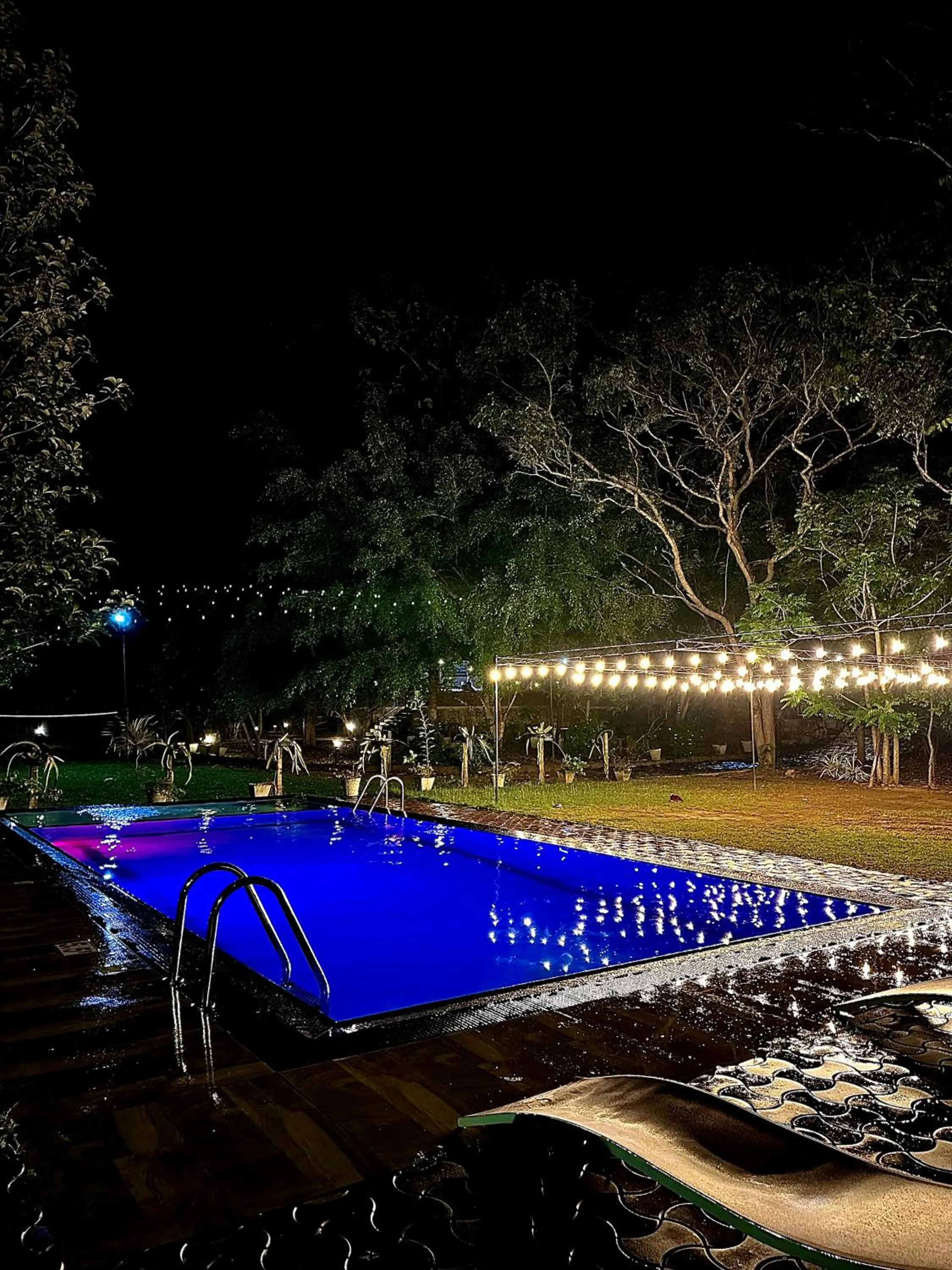 Swimming pool in Birds Paradise Inn