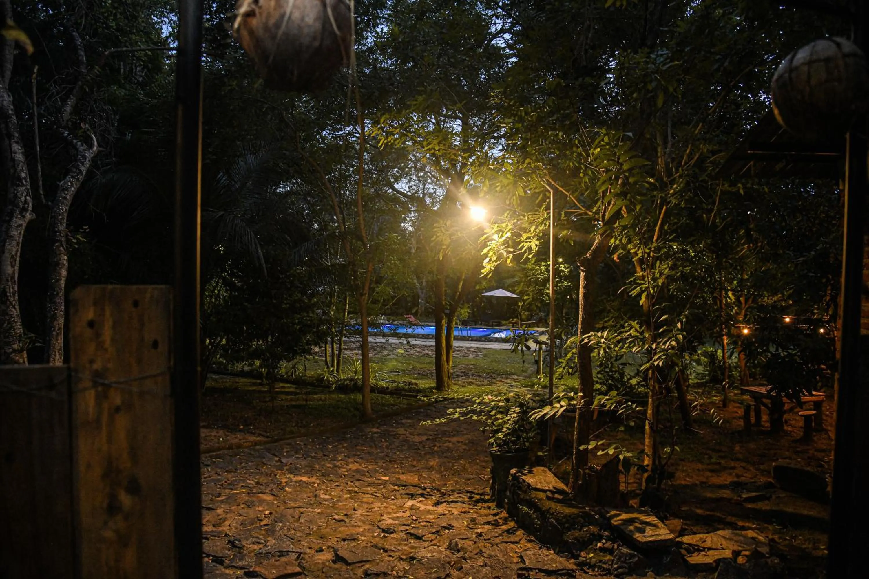 Garden in Birds Paradise Inn