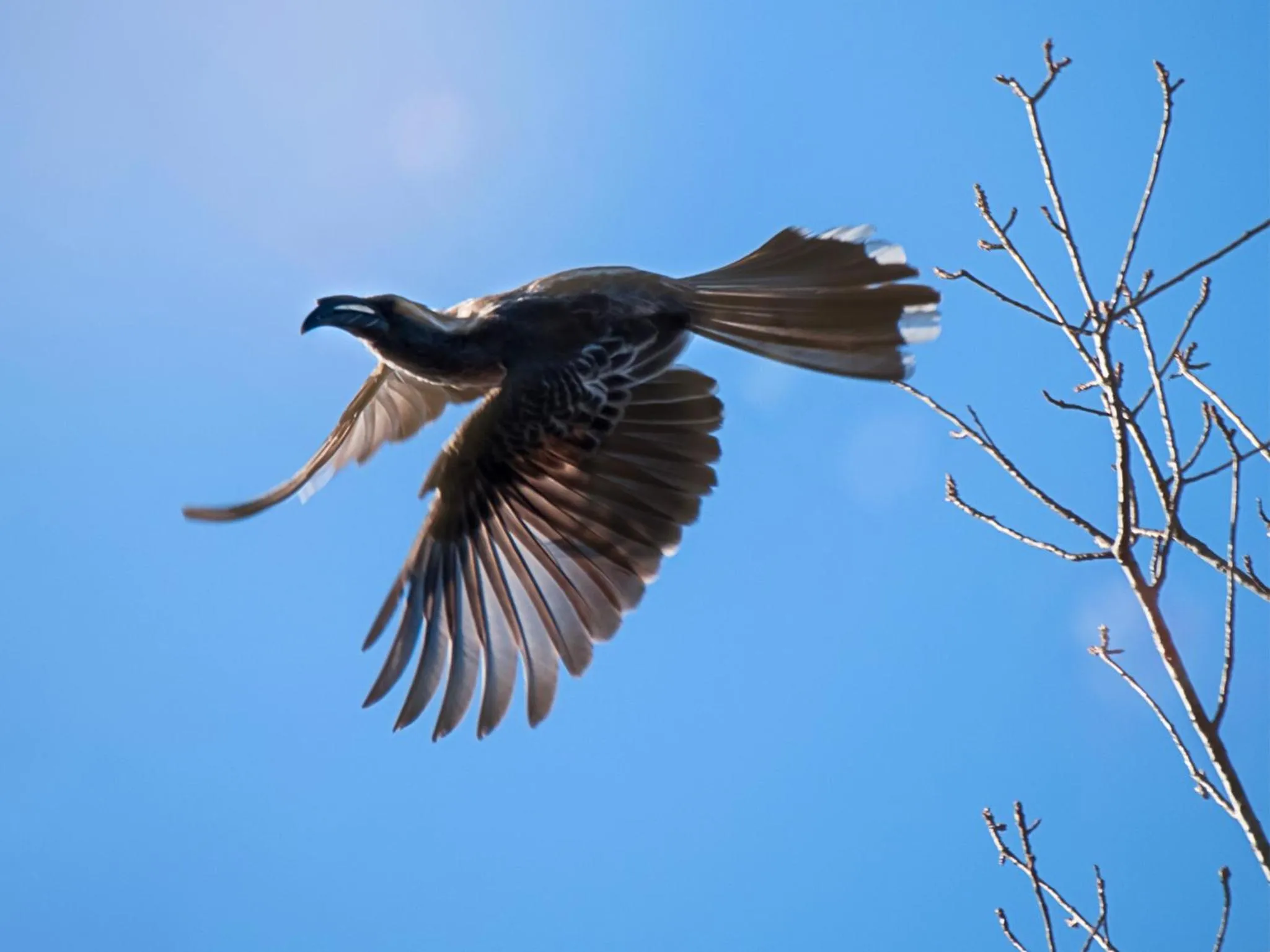 Animals in Kloofzicht Lodge & Spa