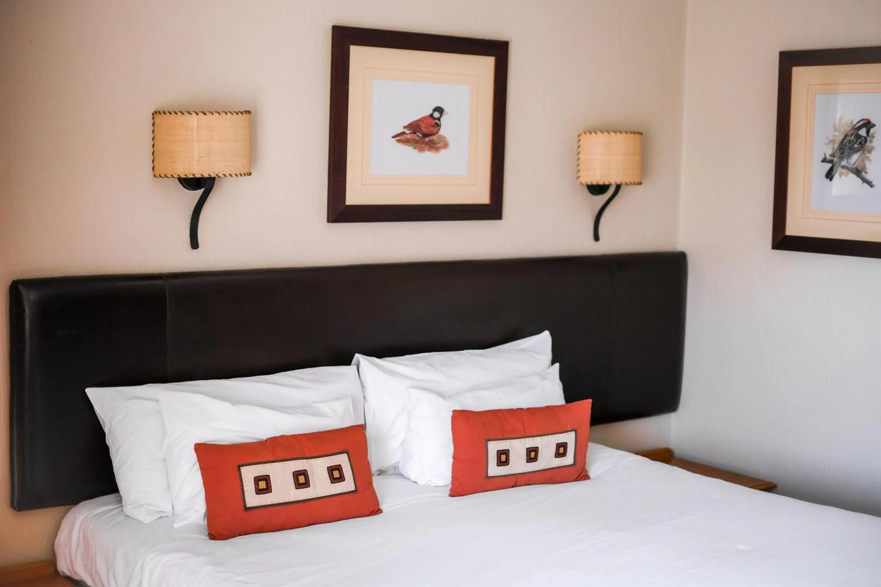 Economy Double Room - single occupancy in Glenburn Lodge & Spa Economy Double Room - single occupancy in Glenburn Lodge & Spa