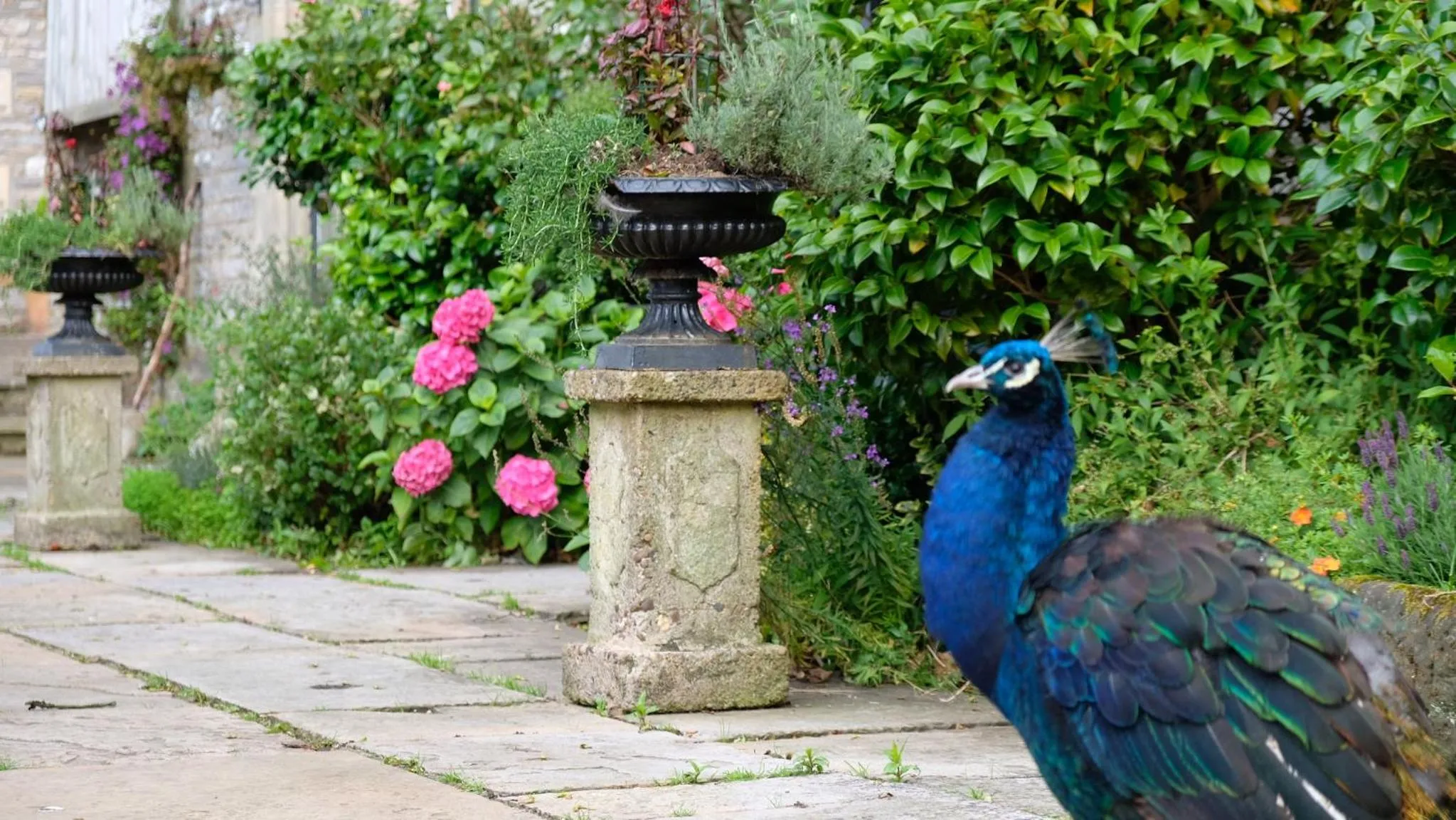 Garden in Simonstone Hall Hotel
