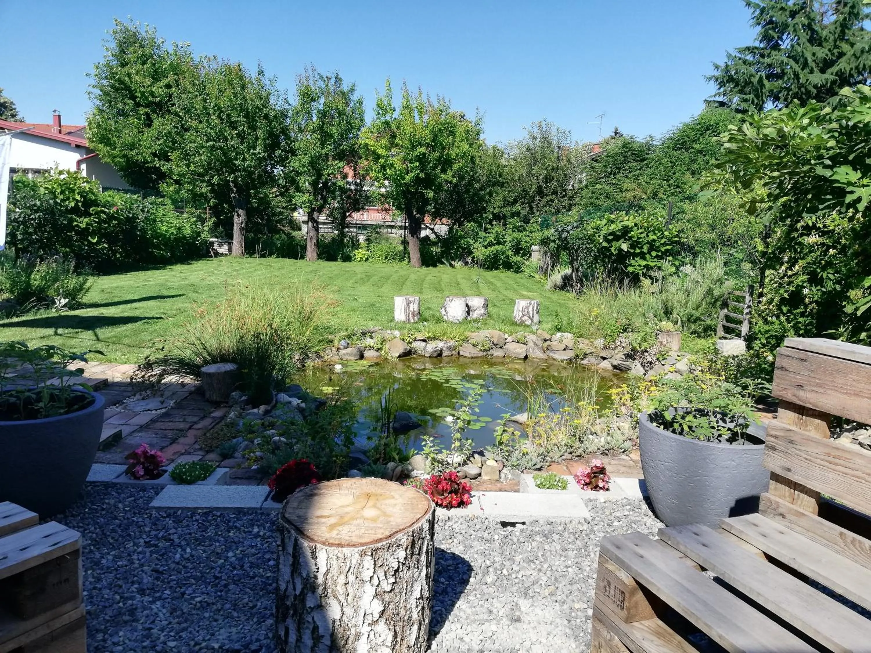 Garden in Studio Apartments Korosteljev