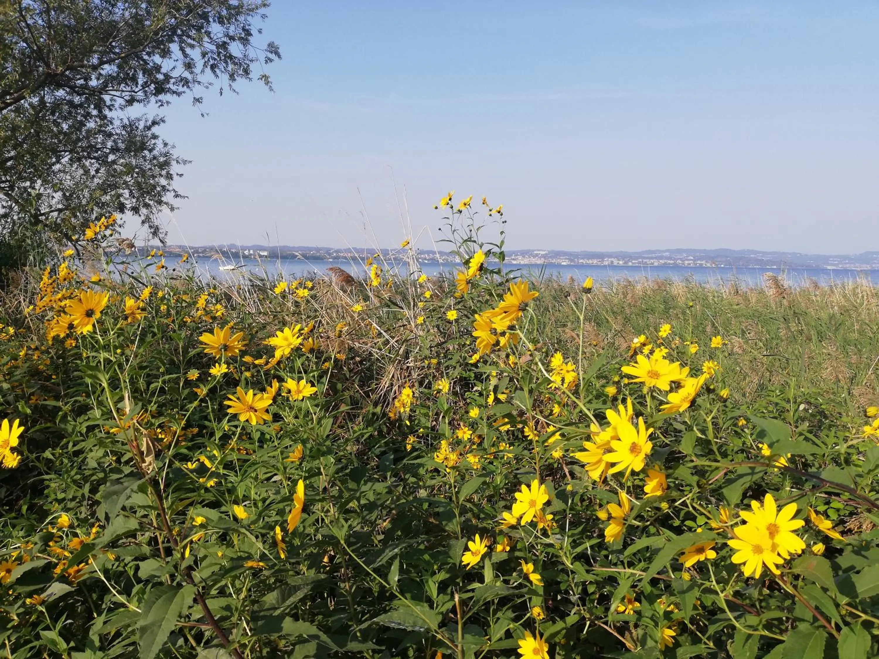 Natural landscape in B&B Rosalu - Adults Only