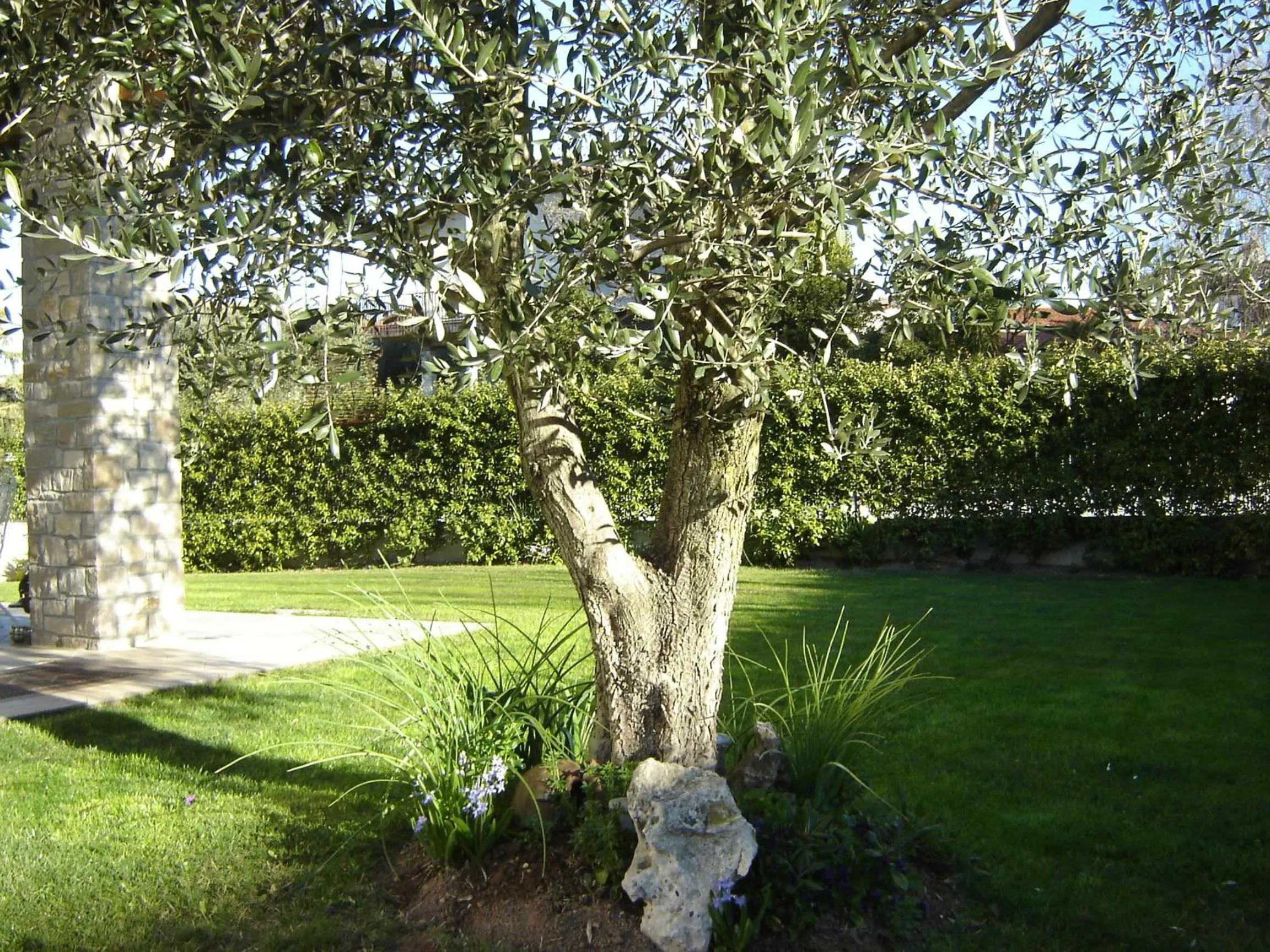 Garden in B&B Rosalu - Adults Only