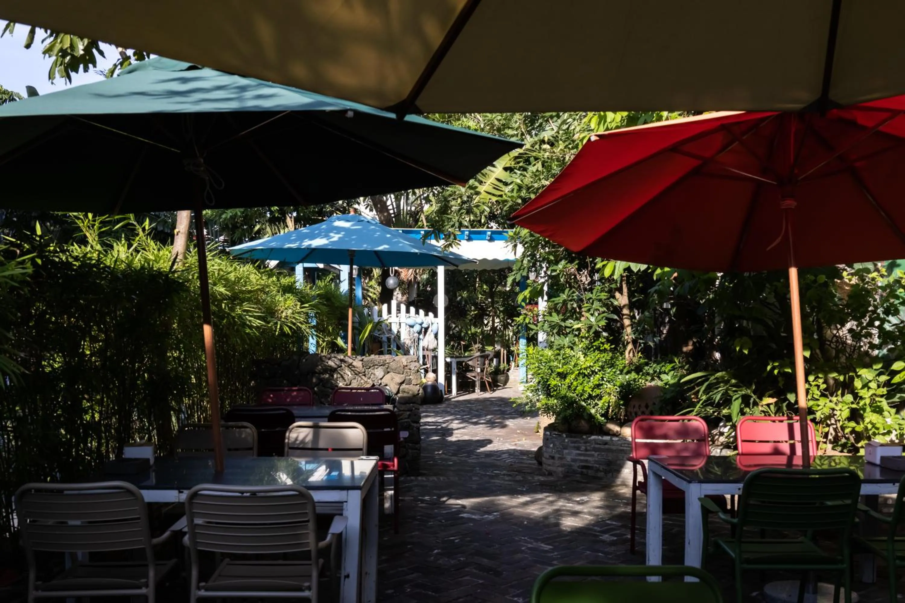 Restaurant/places to eat in Island Forest Hotel