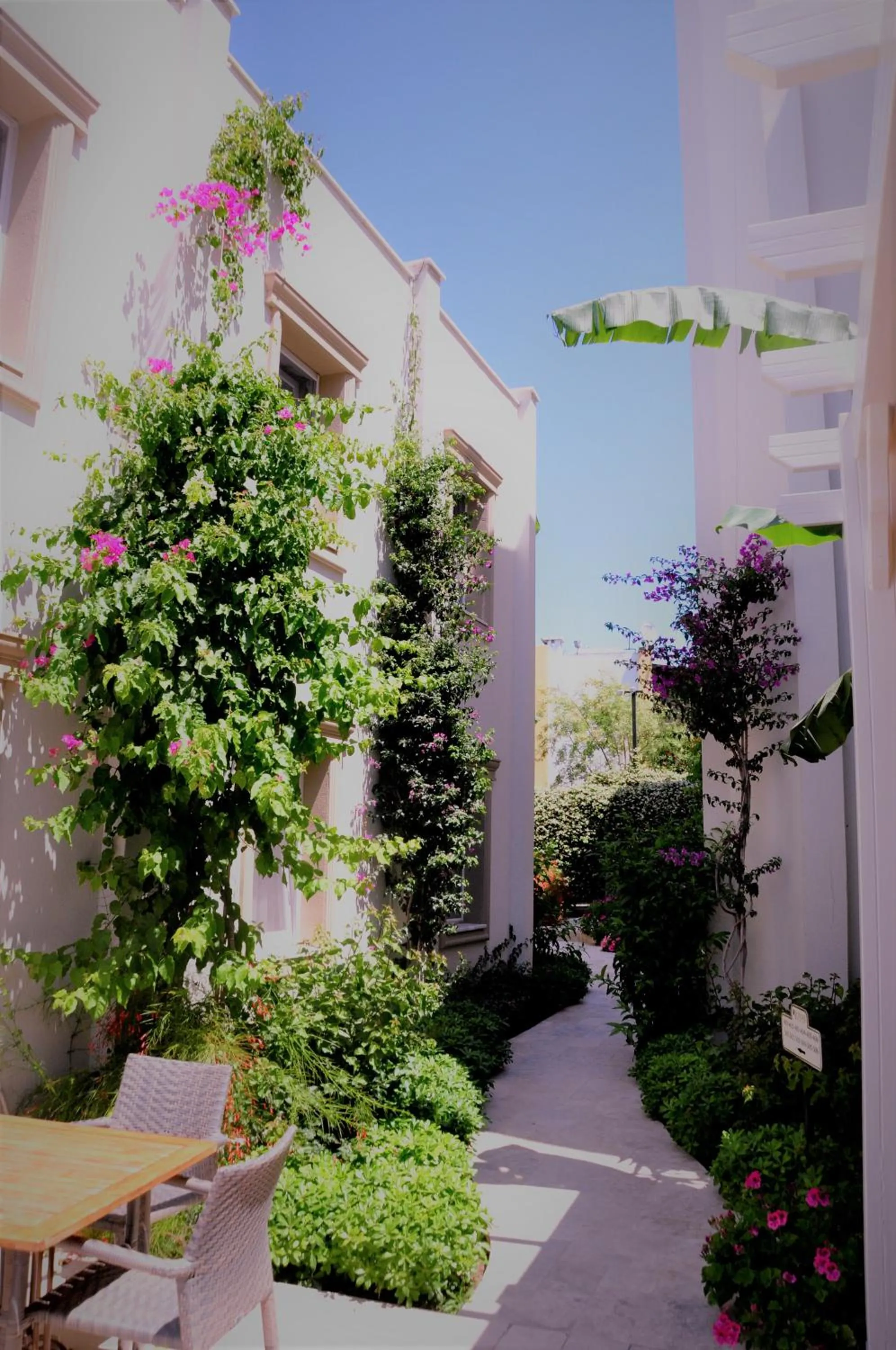 Garden in Olivias Group Hotel