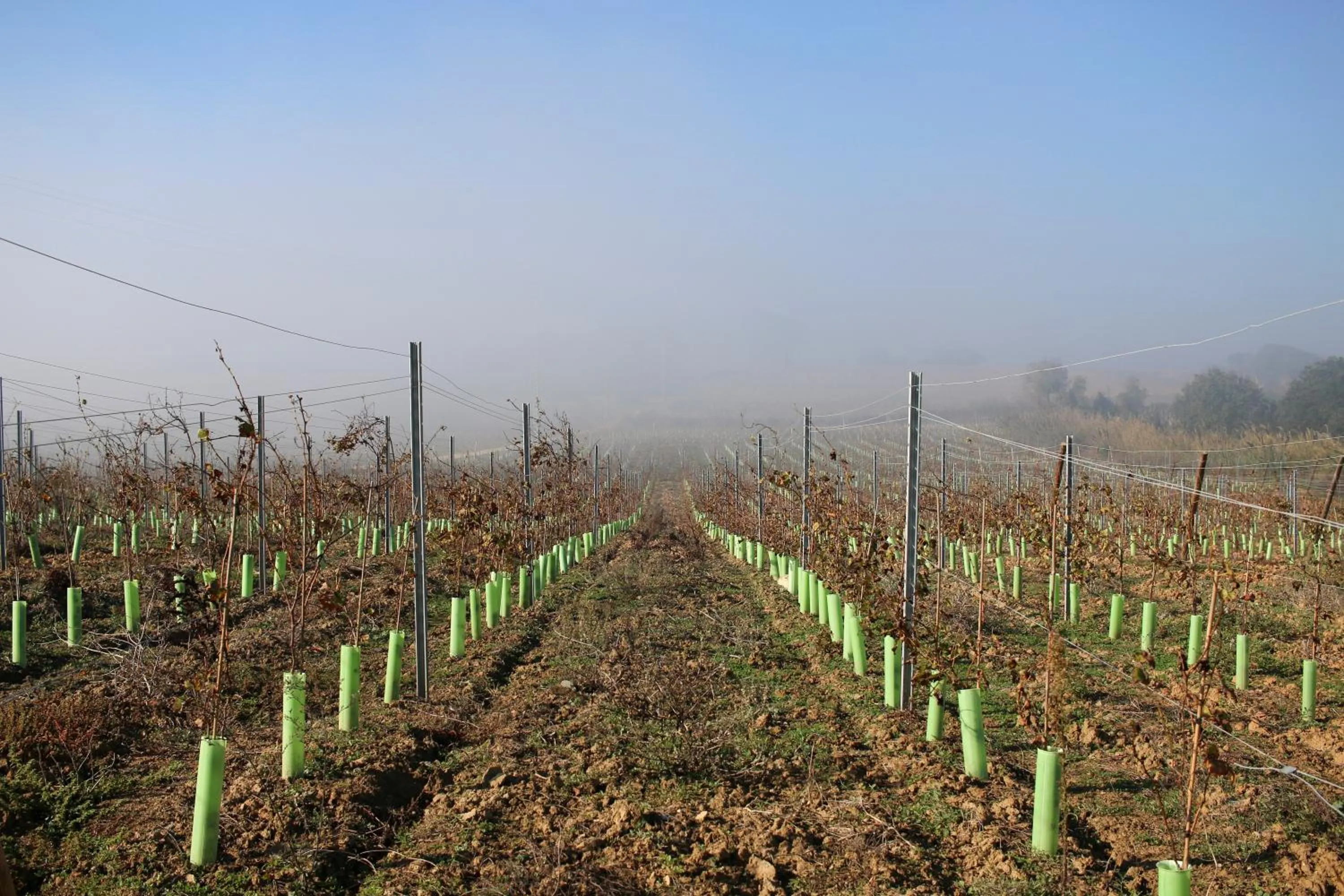 Activities in Entre Vinhas & Mar