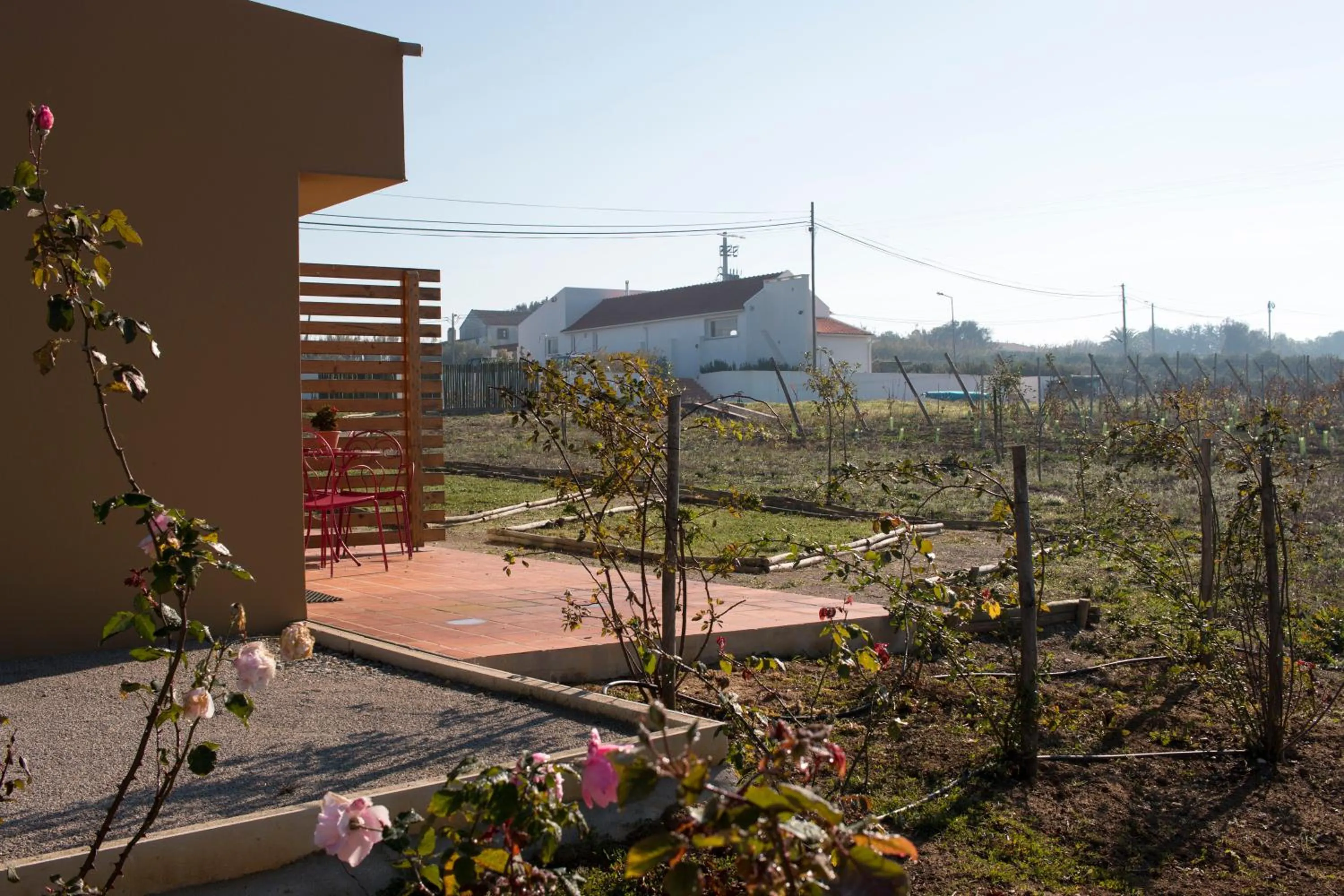 Spring in Entre Vinhas & Mar