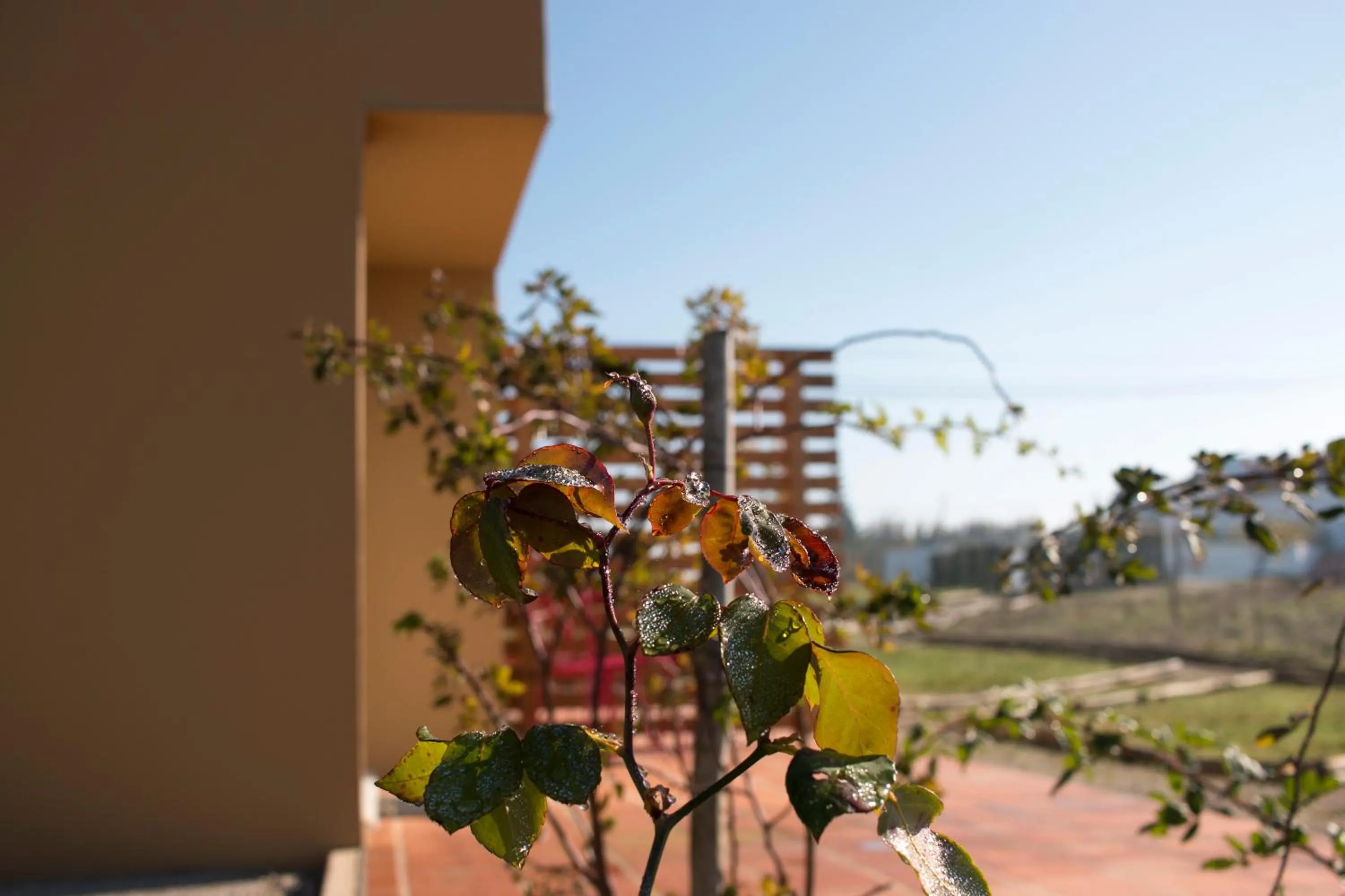 Spring in Entre Vinhas & Mar