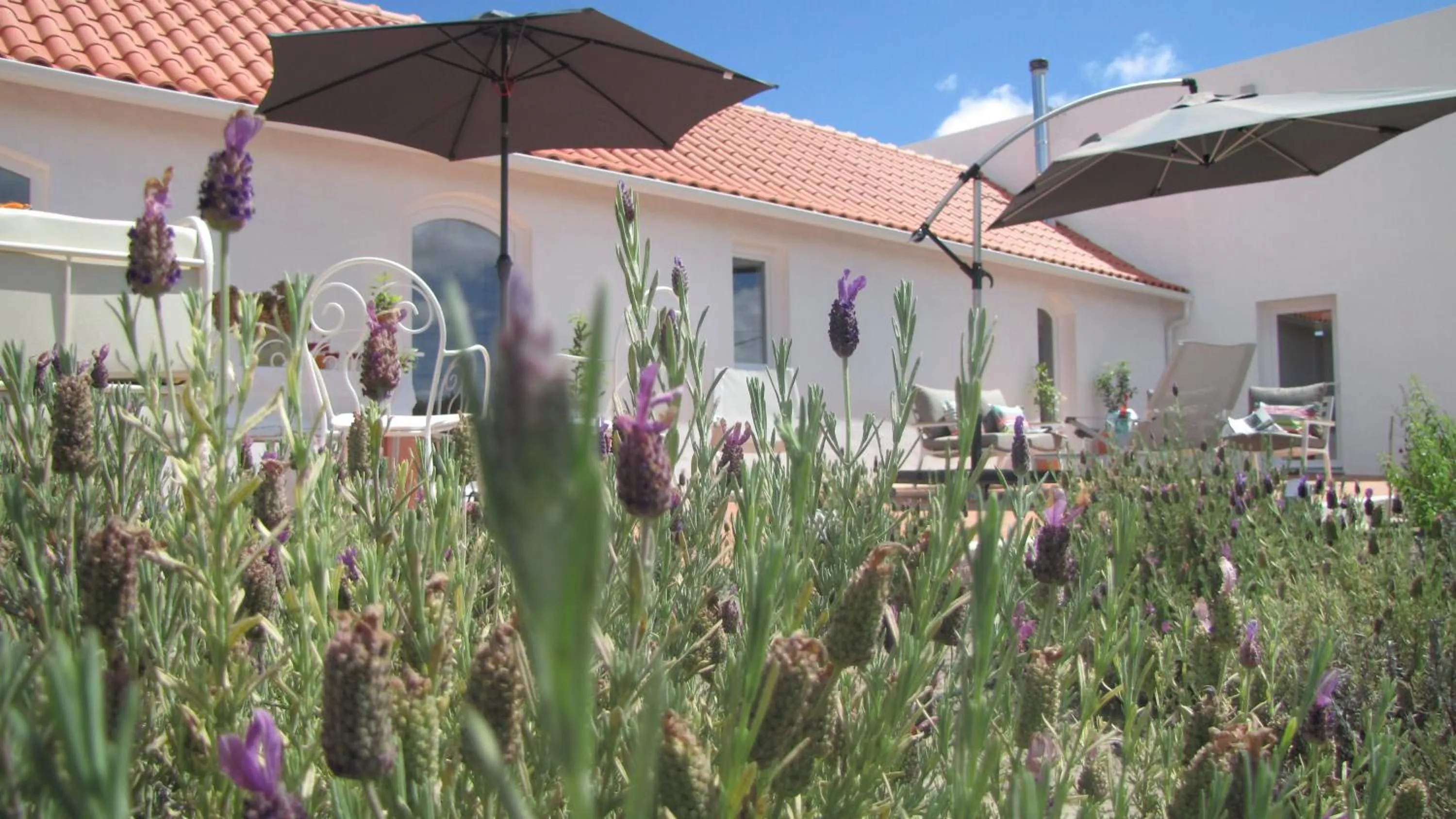 Patio in Entre Vinhas & Mar