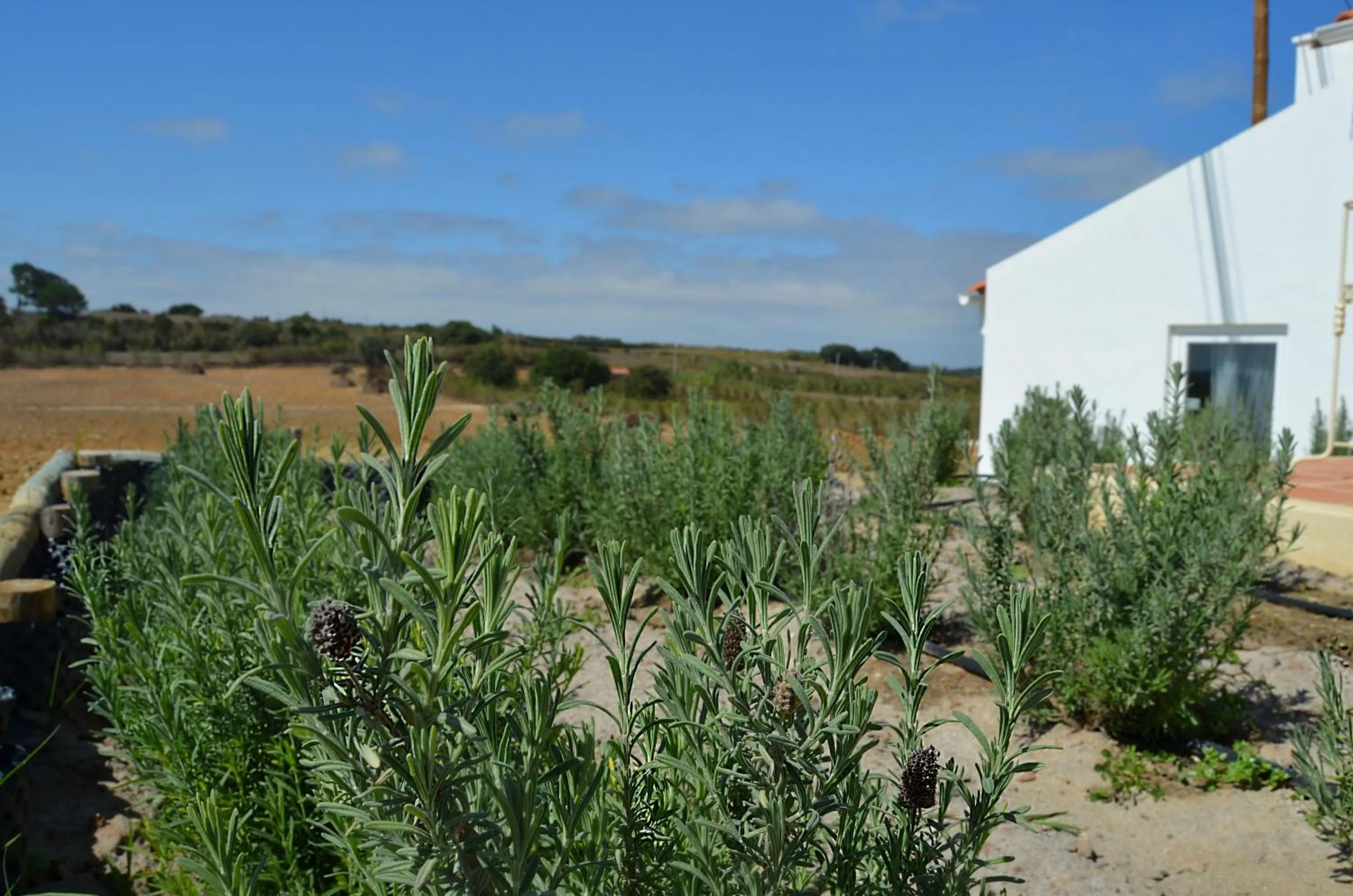 Day in Entre Vinhas & Mar