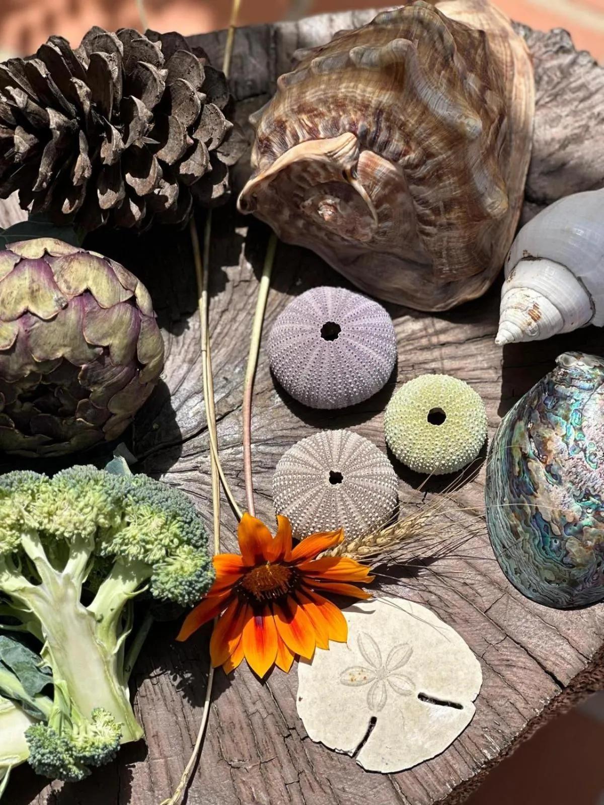 Day in Entre Vinhas & Mar