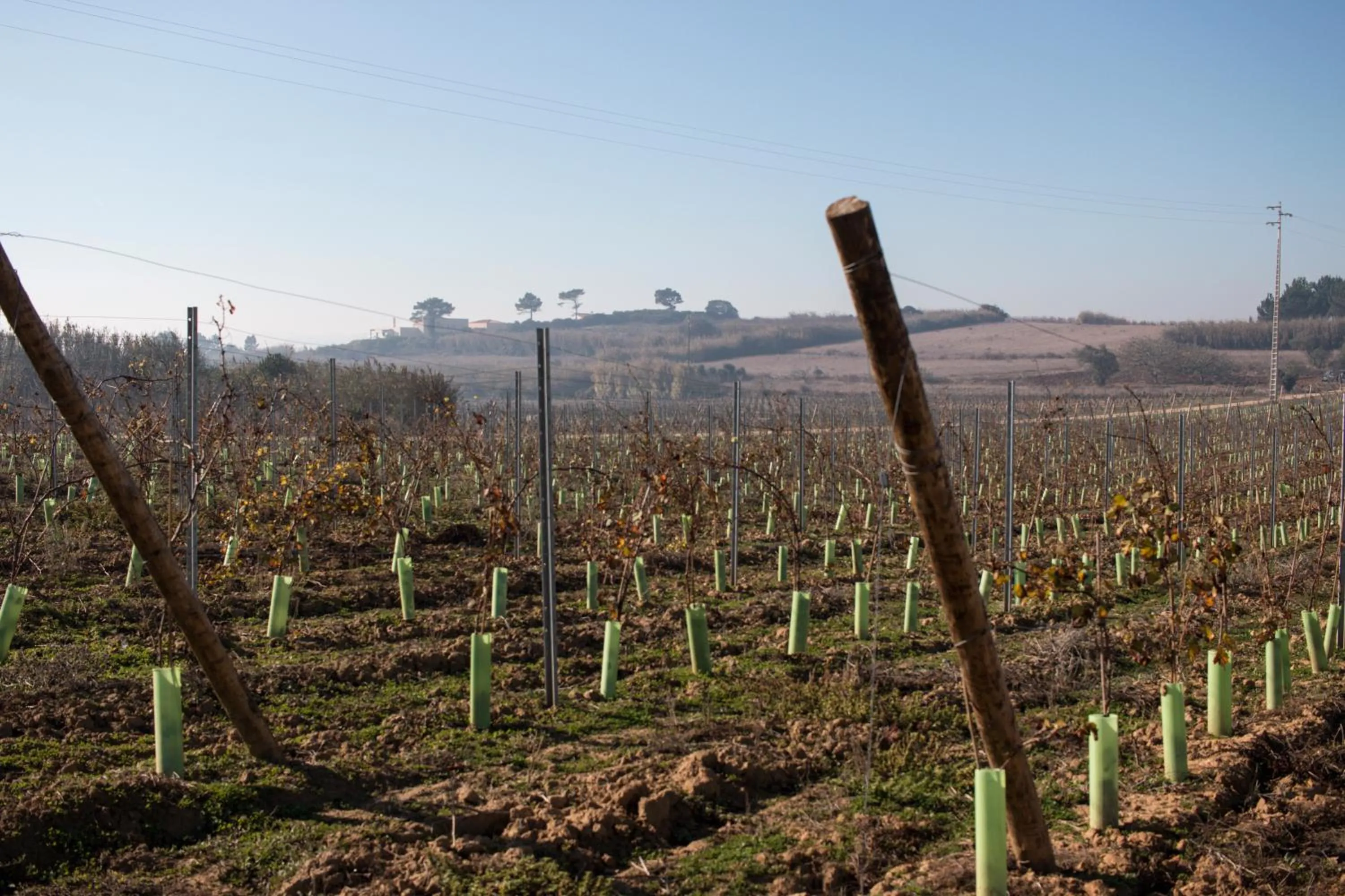 Natural landscape in Entre Vinhas & Mar