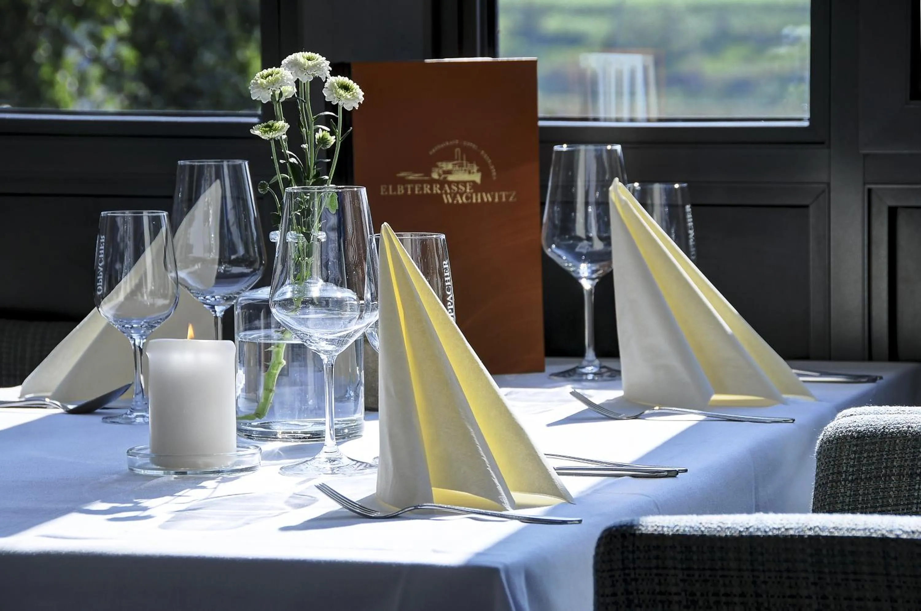 Decorative detail in Elbterrasse Wachwitz