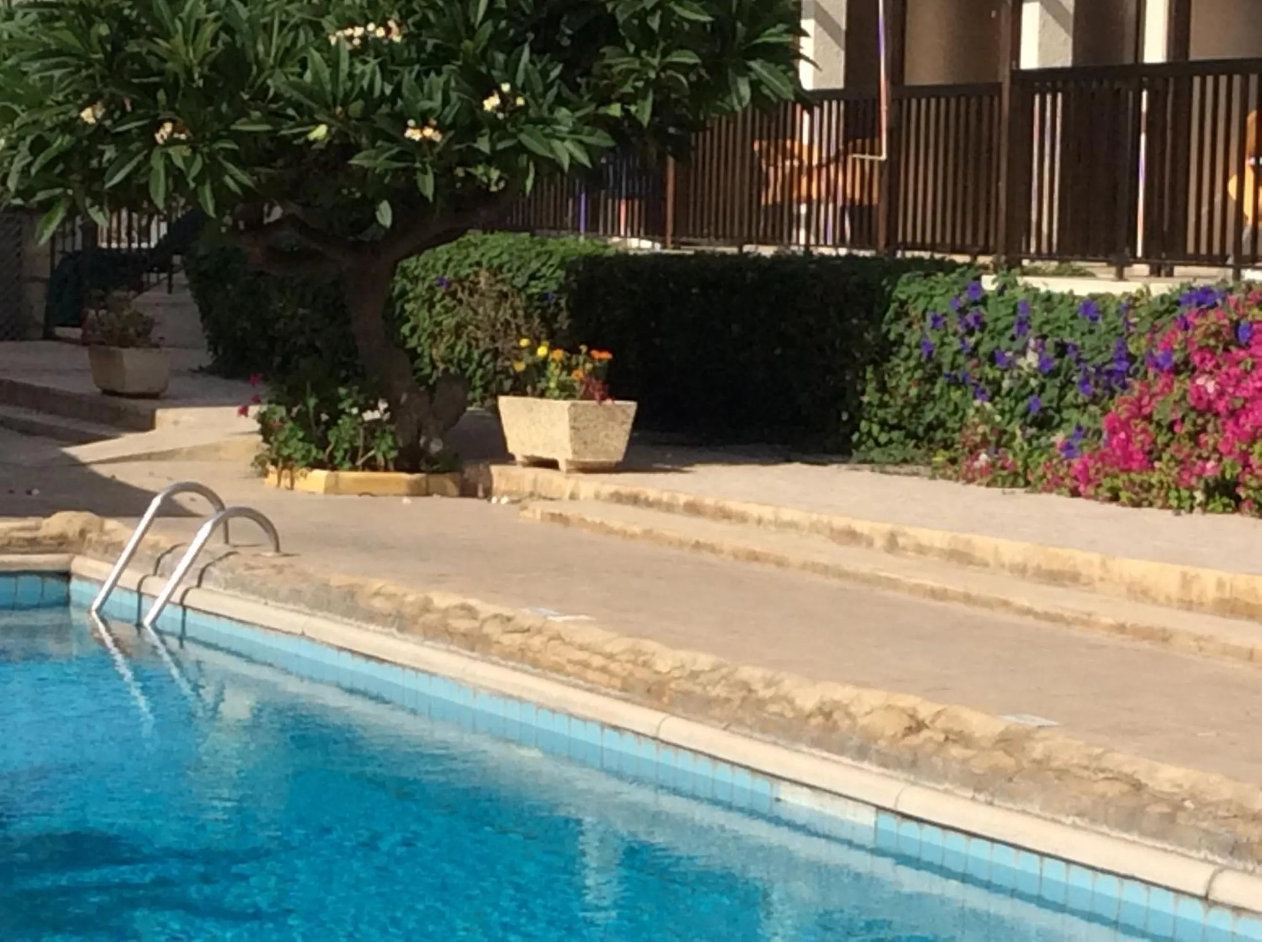 Swimming pool in Kings Annex